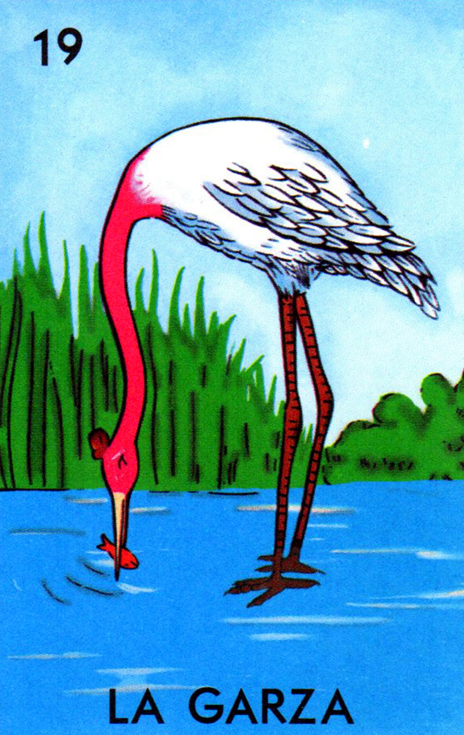 19 la garza
