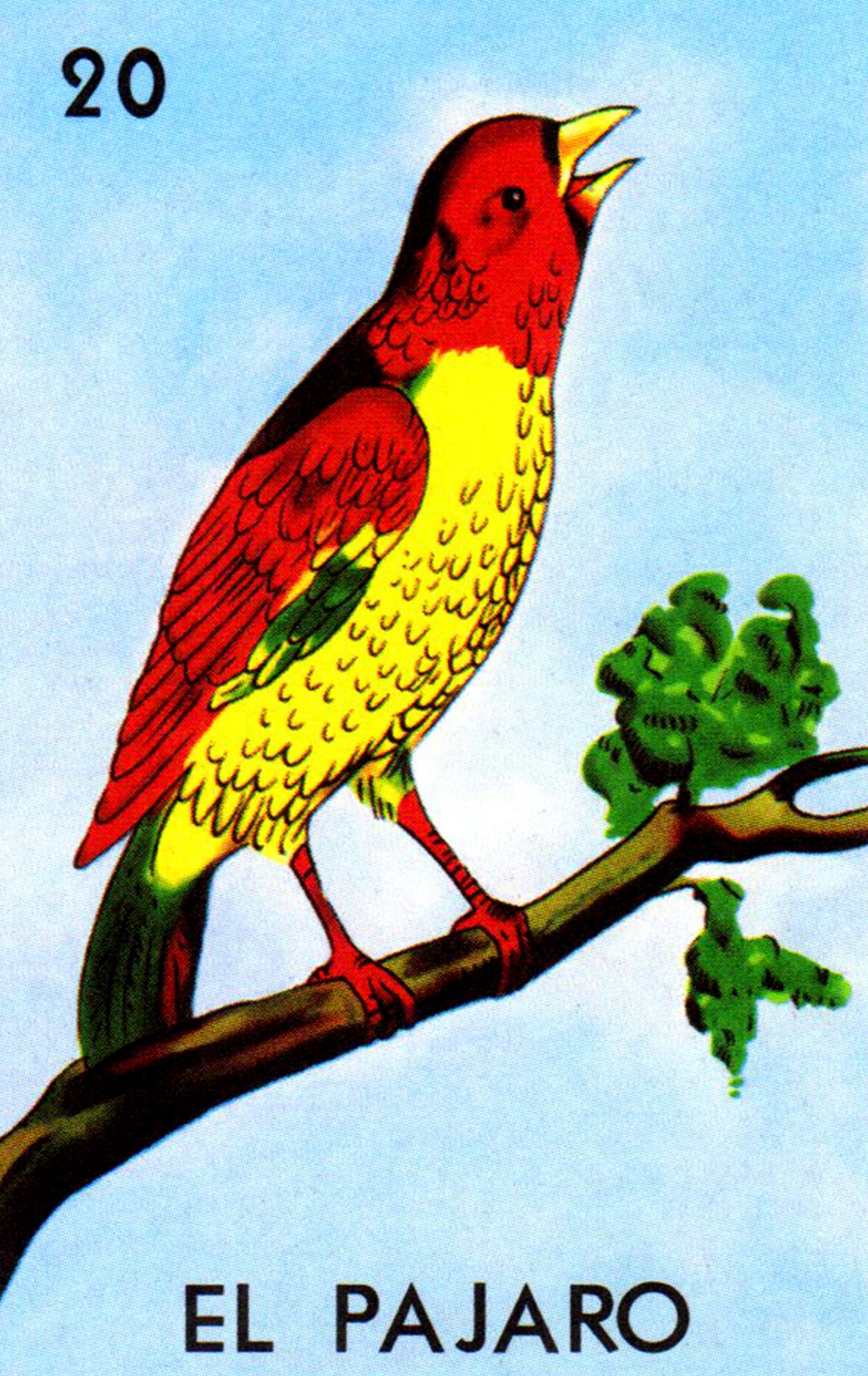 20 el pajaro