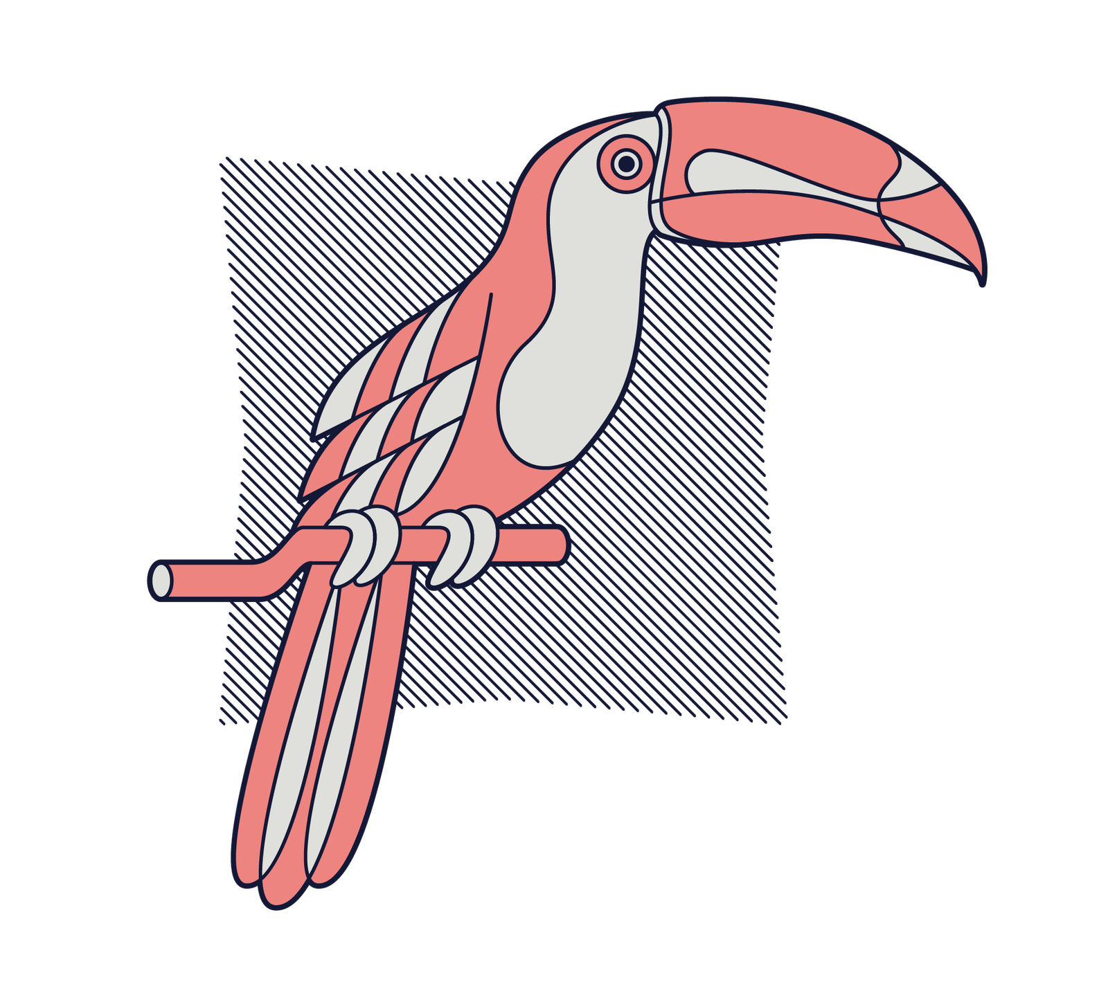 Tucano