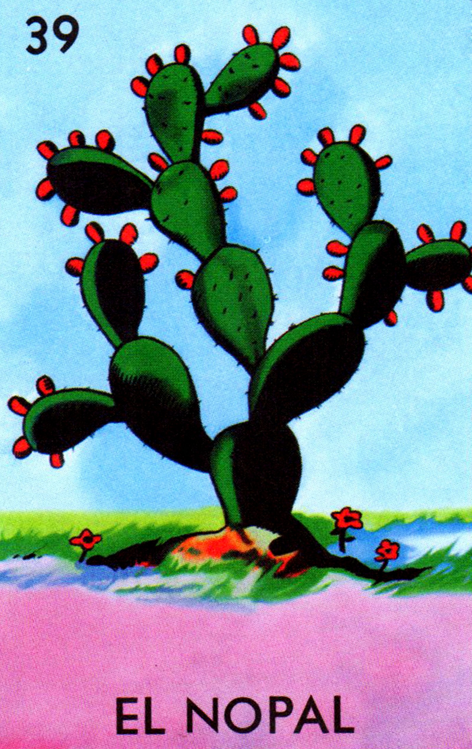 39 el nopal