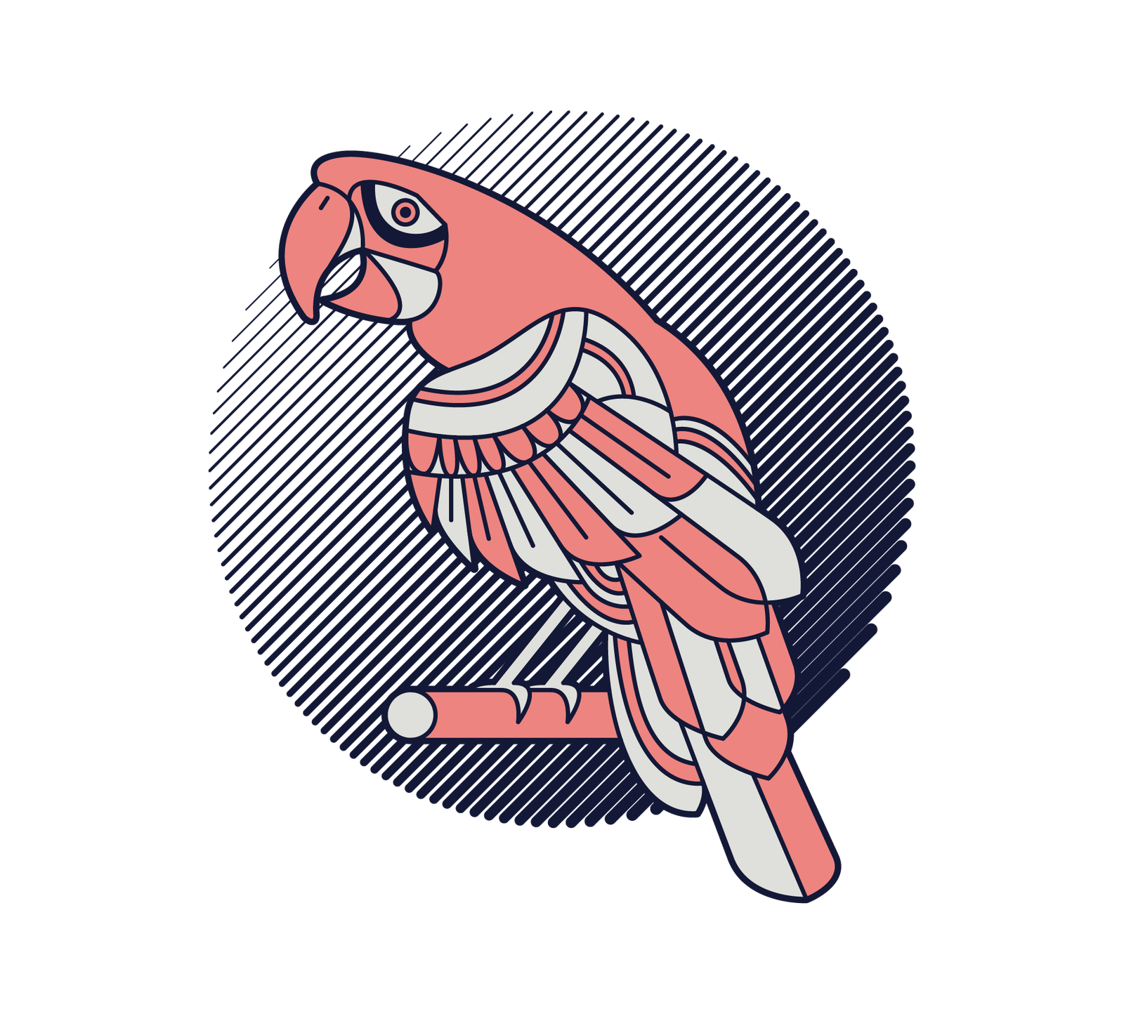 Arara
