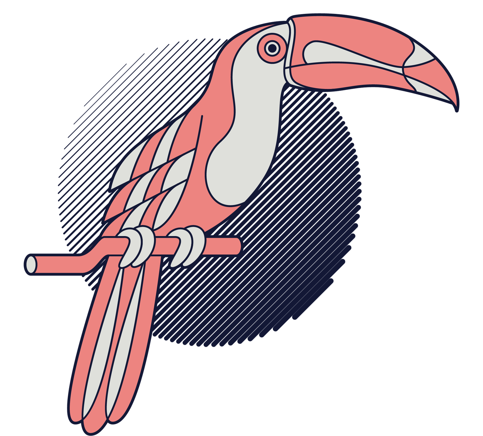 Tucano