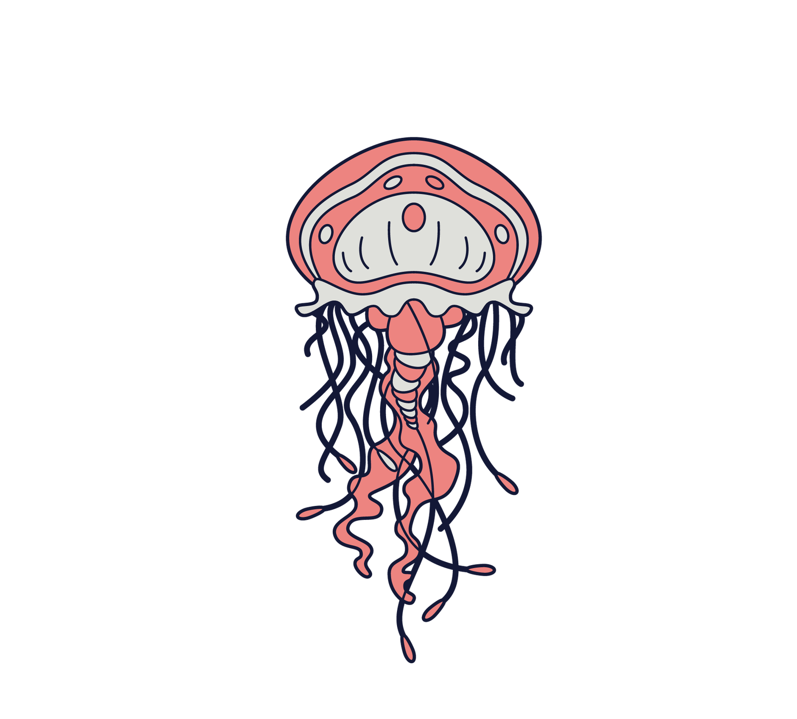 Jellyfish
