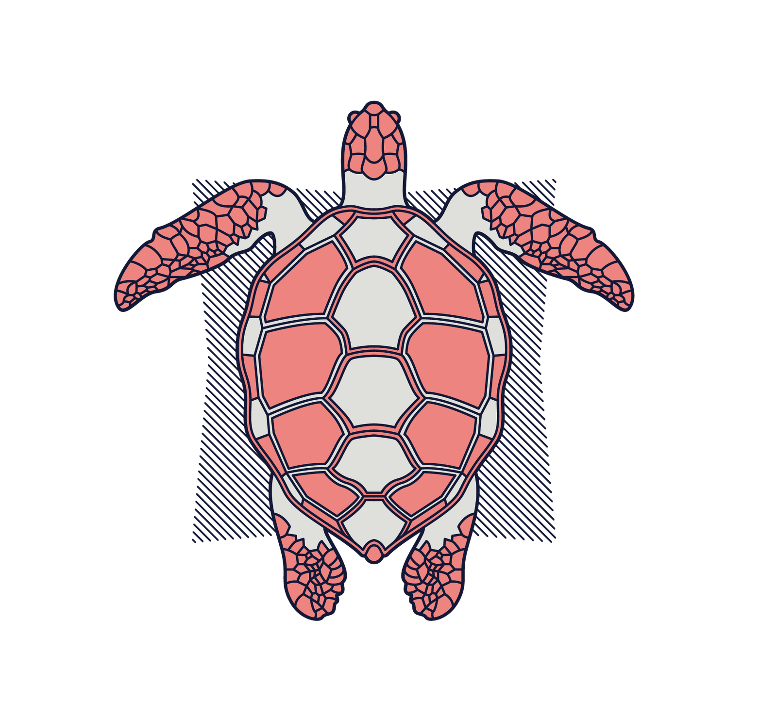 Tartaruga