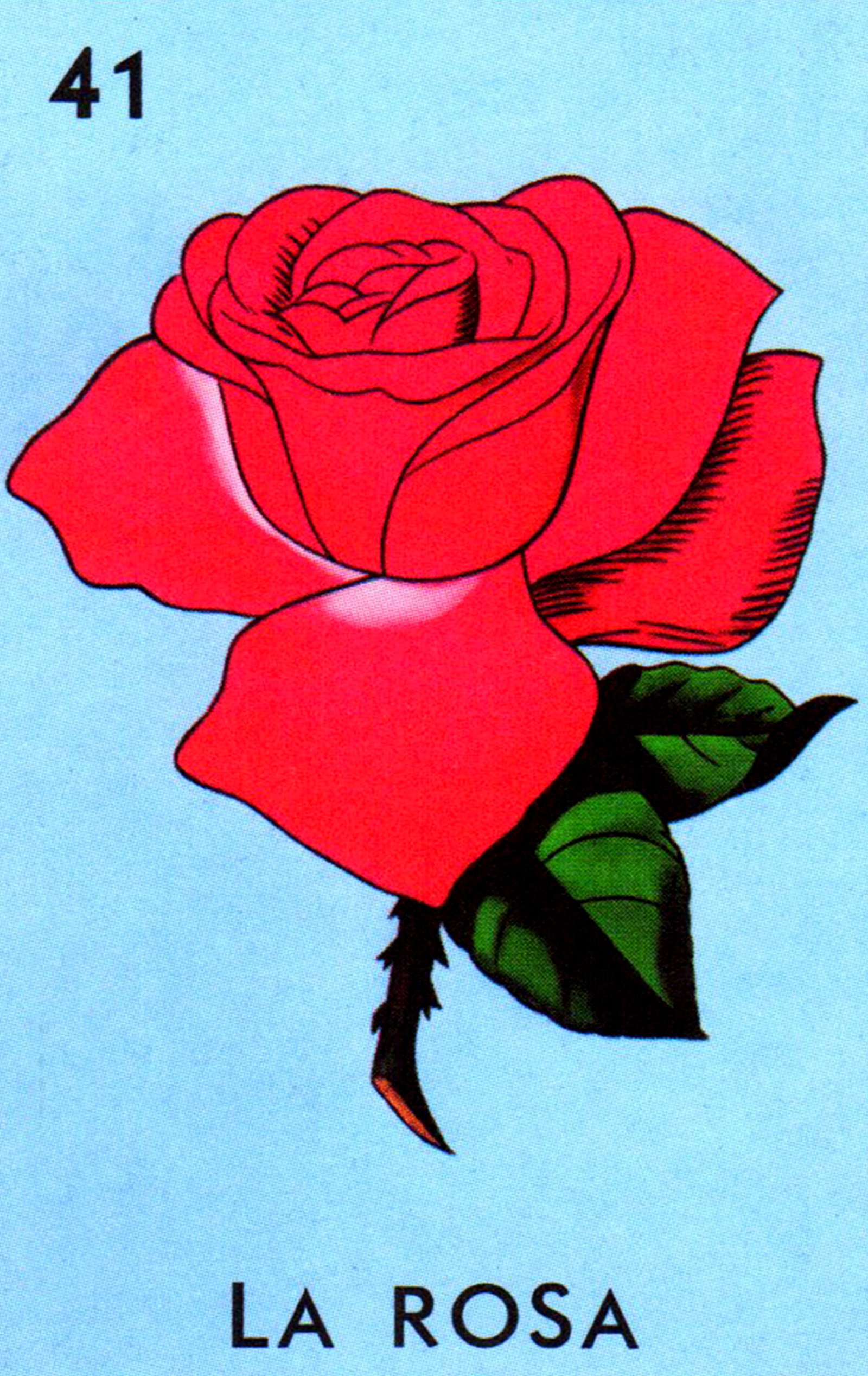 41 la rosa