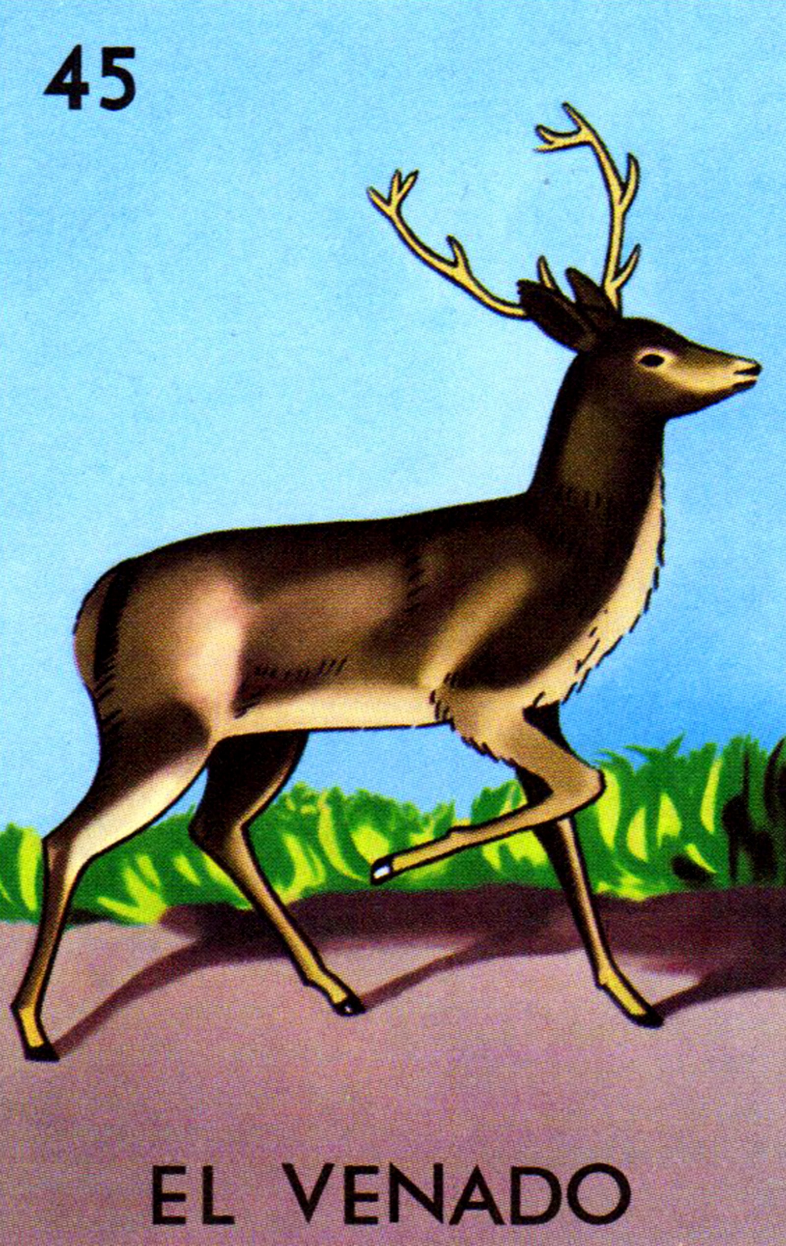 45 el venado