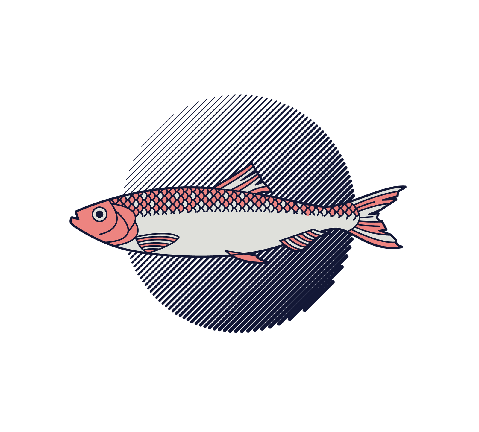 Sardinha