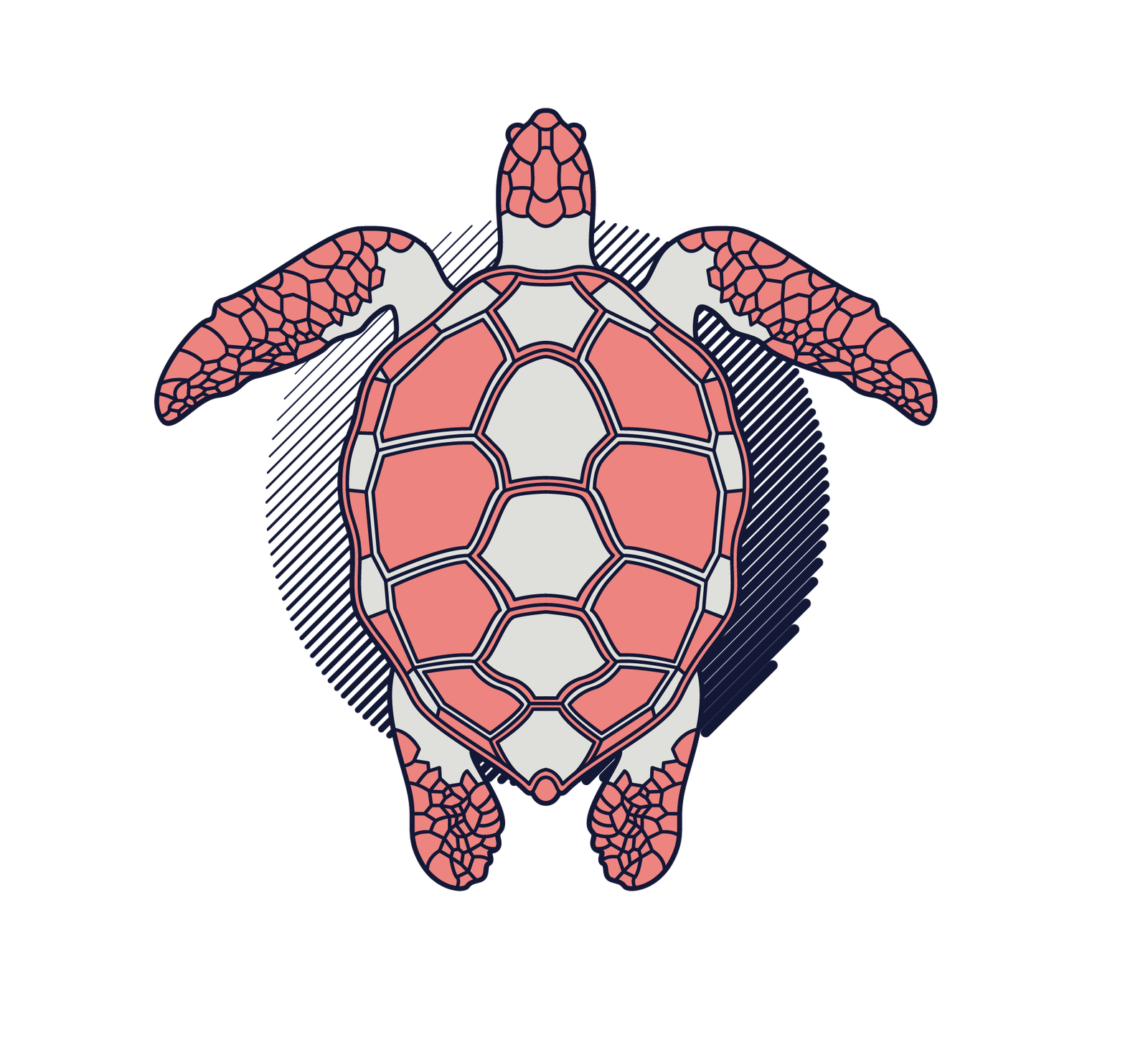 Tartaruga Marinha