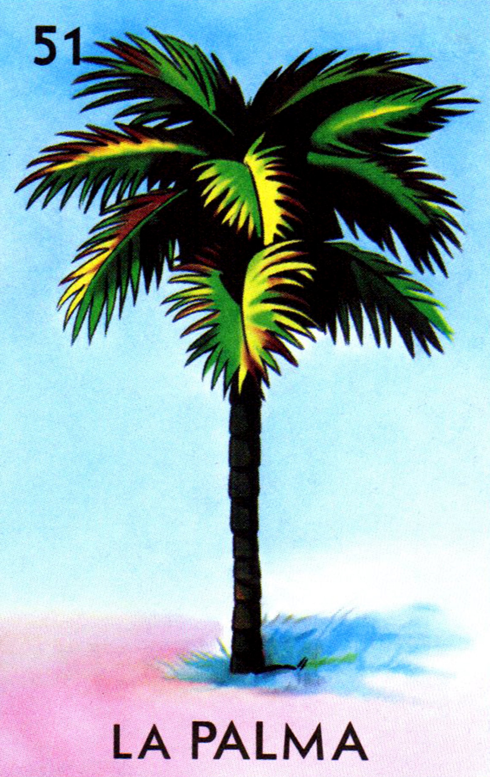 51 la palma