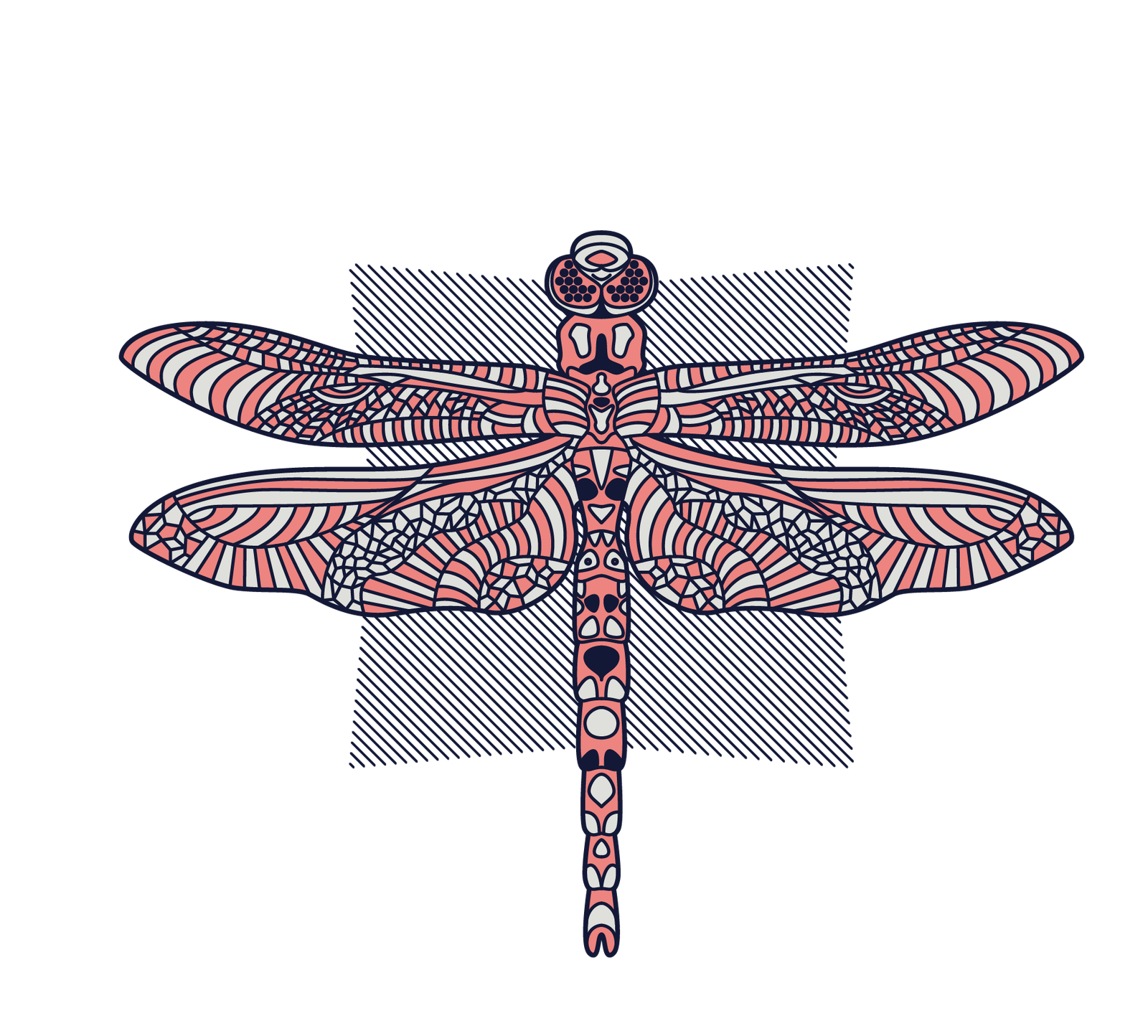Libélula