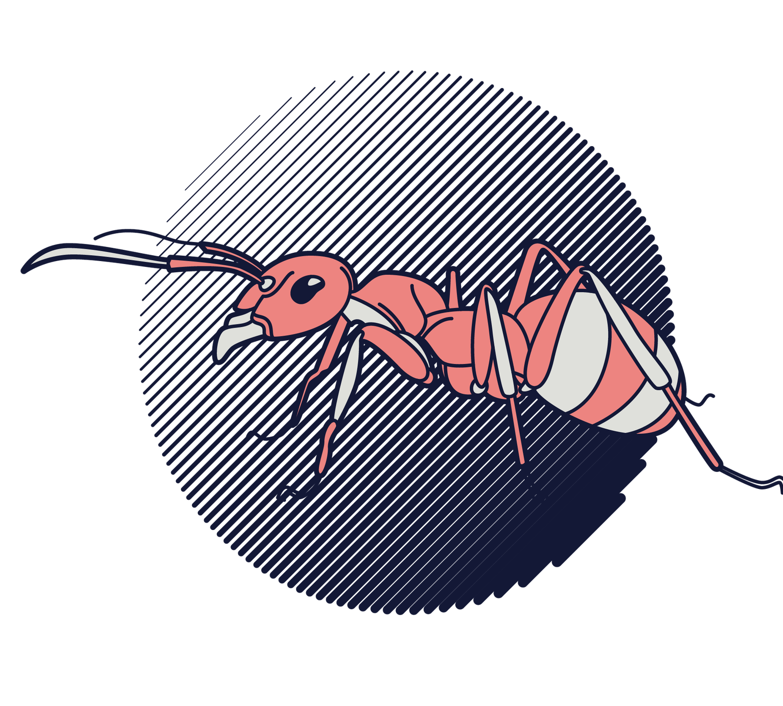 Formiga