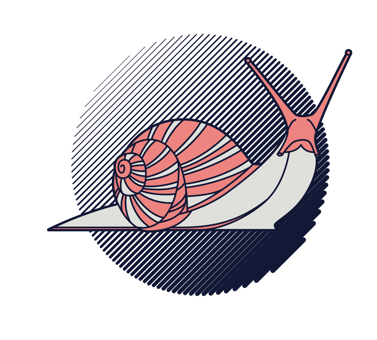 Caracol Estilizado