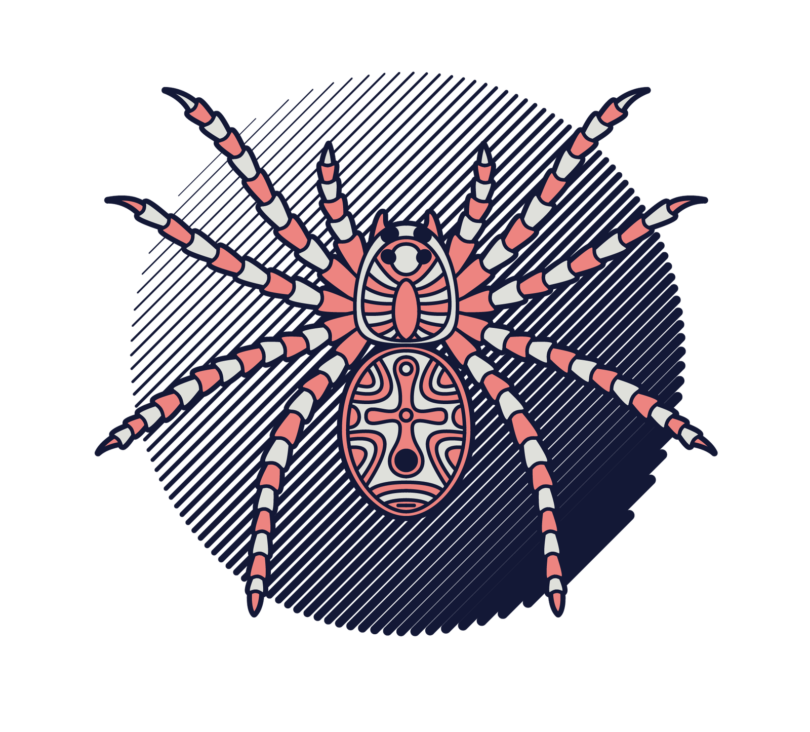 Aranha Artística