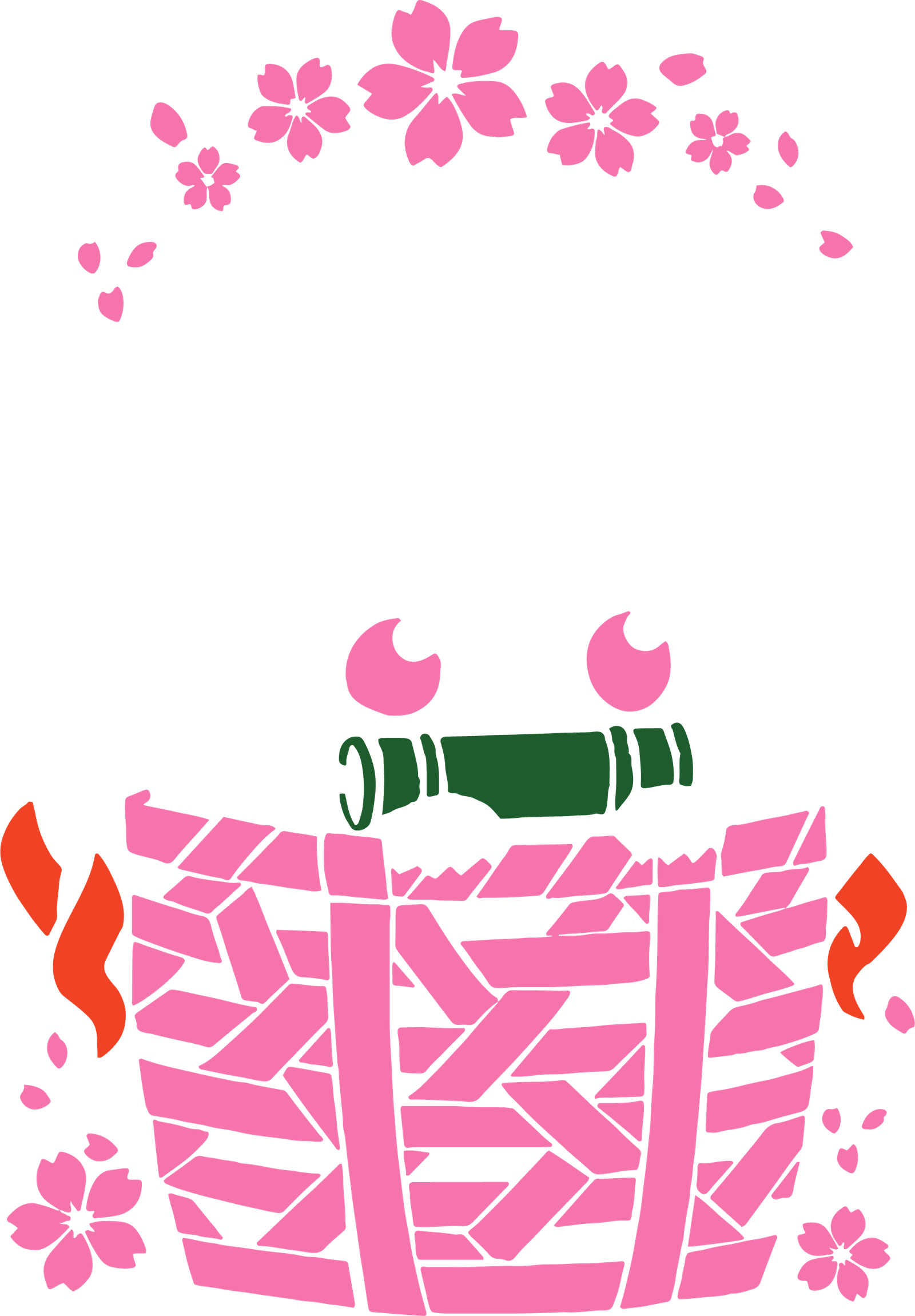 ANIME V3-45