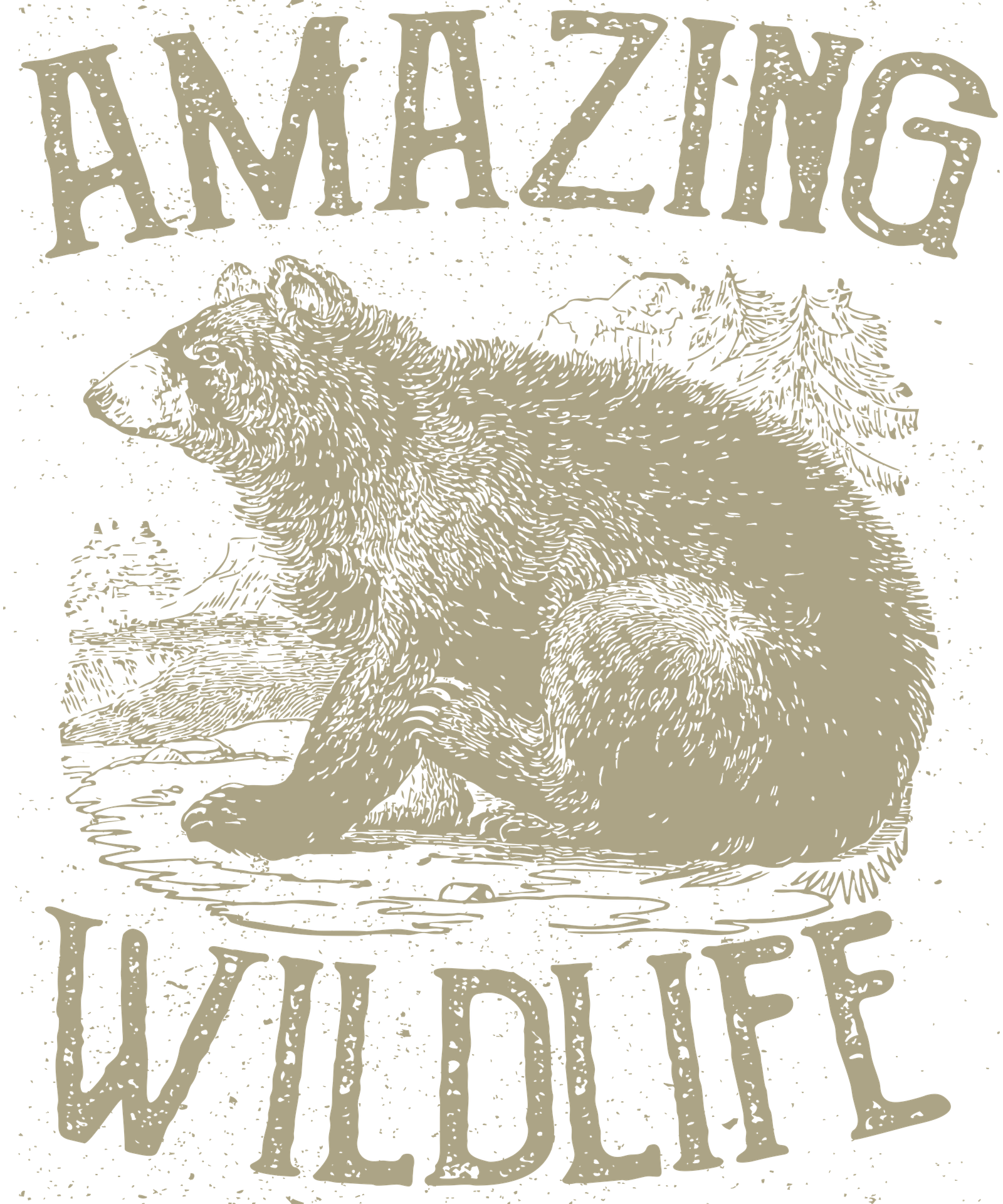 Amazing Wildlife