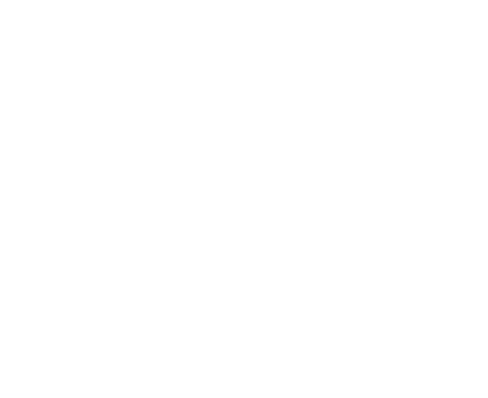 Bike 21