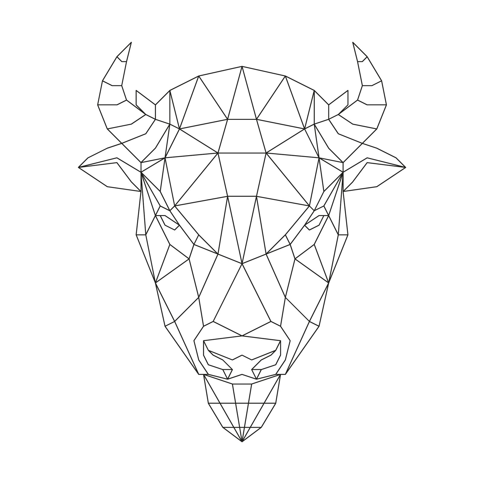 Bison