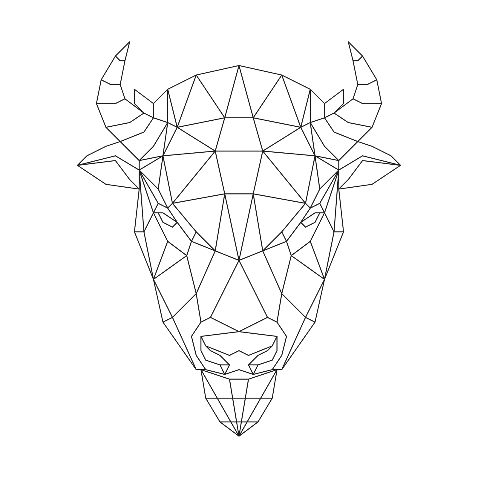 Bison