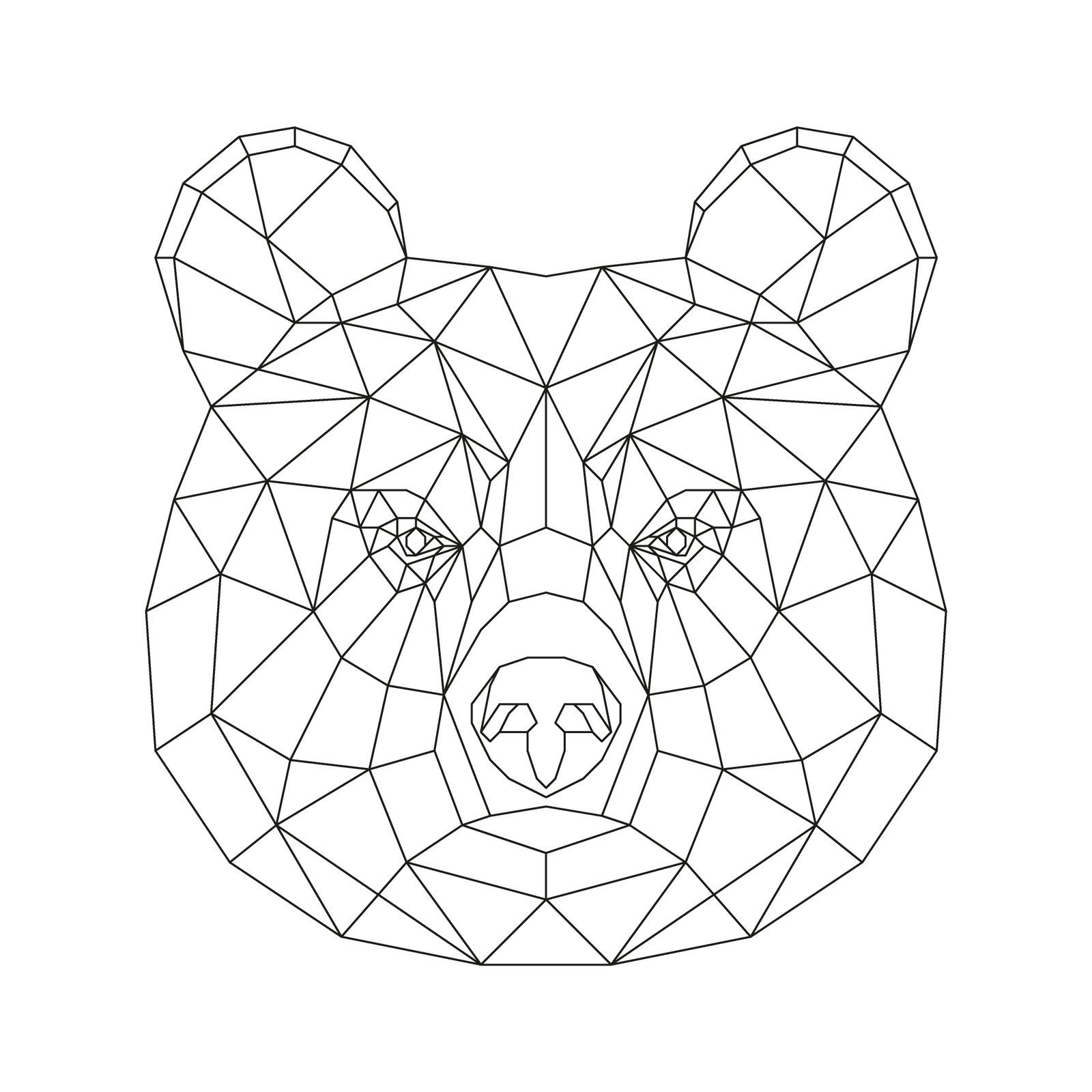 Brown Bear