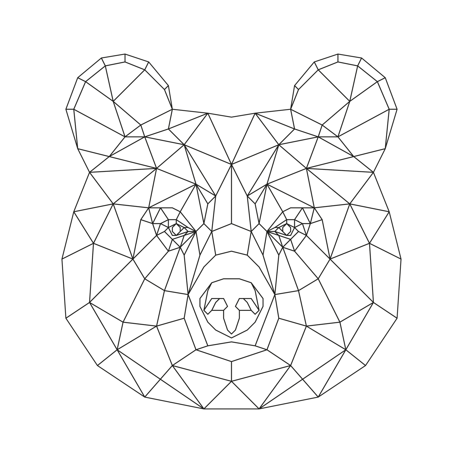 Brown Bear