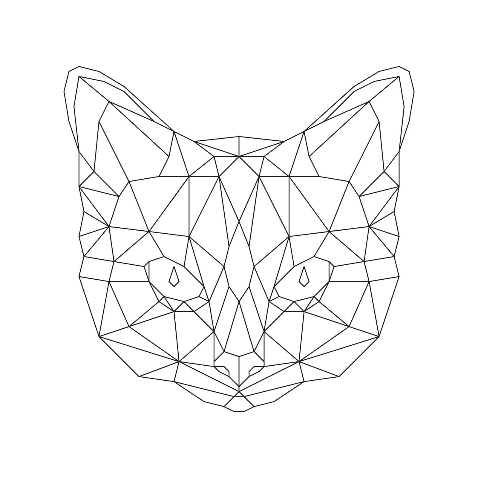 Cat 2