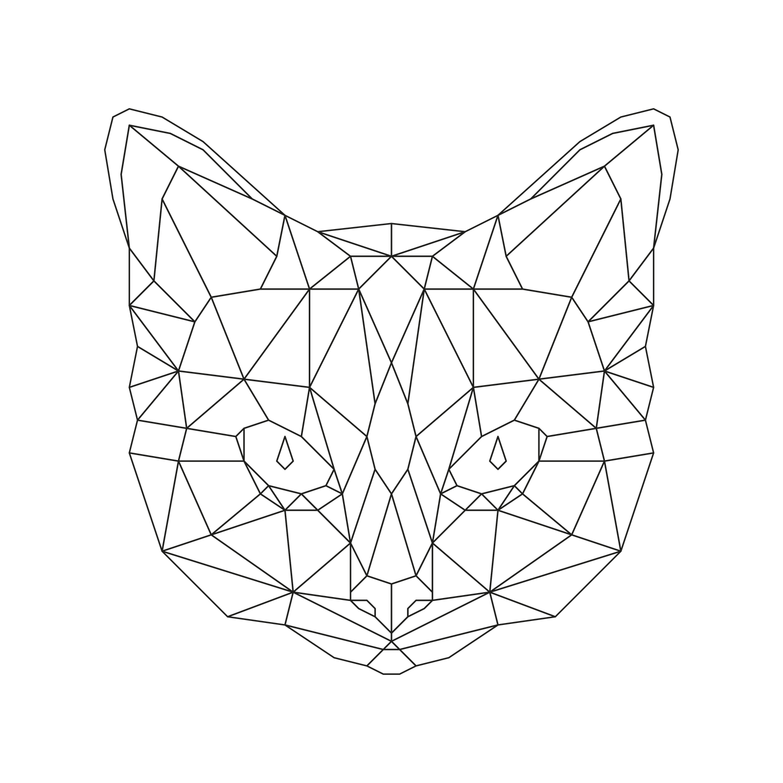 Cat 2