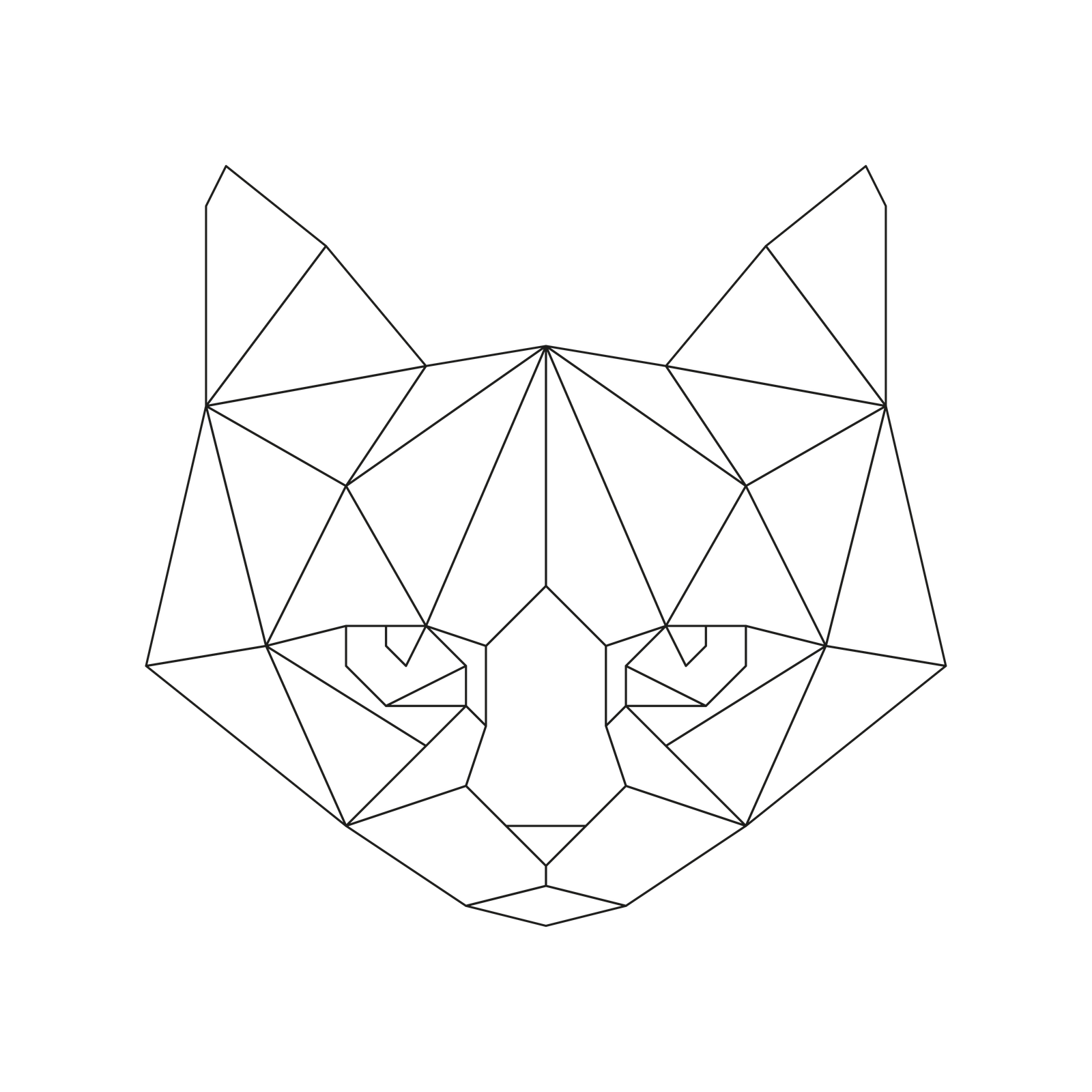 Cat 3