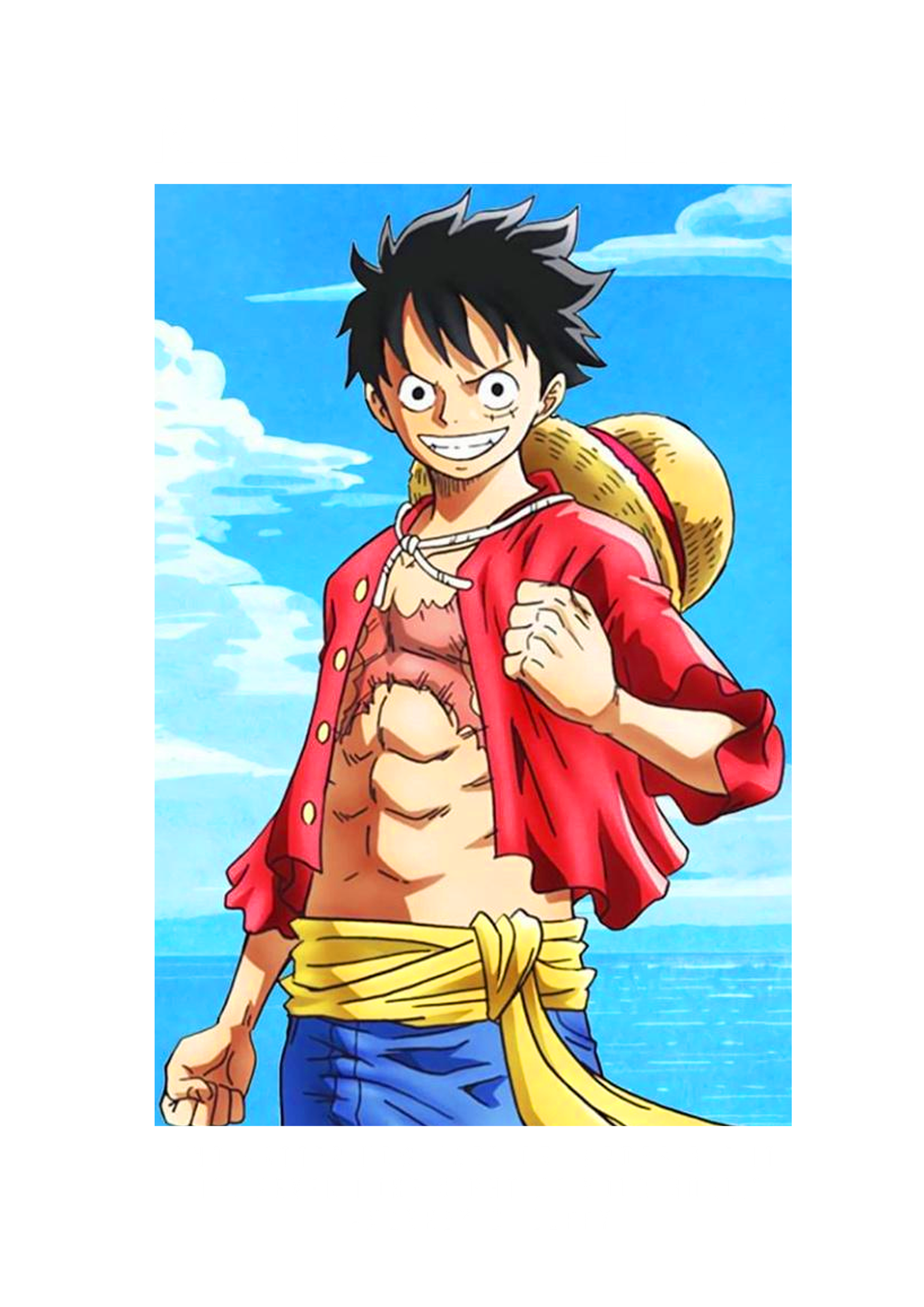 Copy of LUFFY(2)