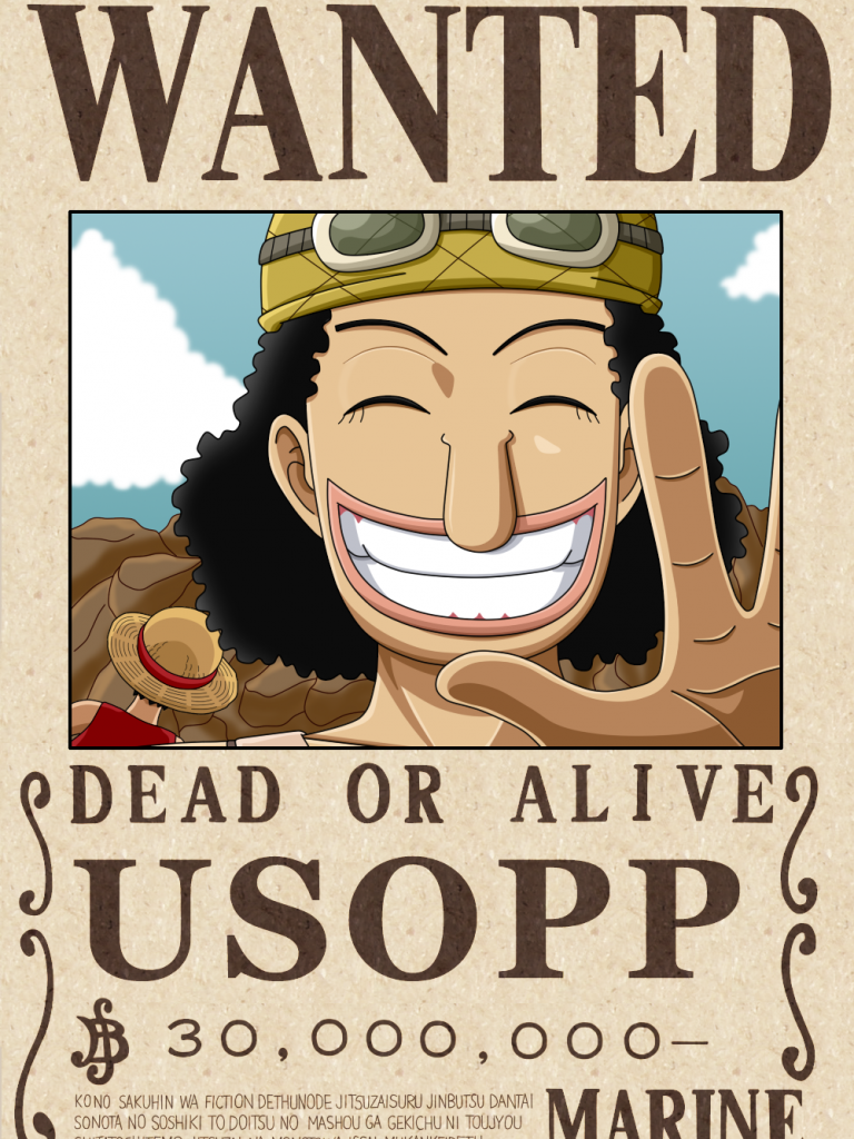 Copy of One Piece (3)