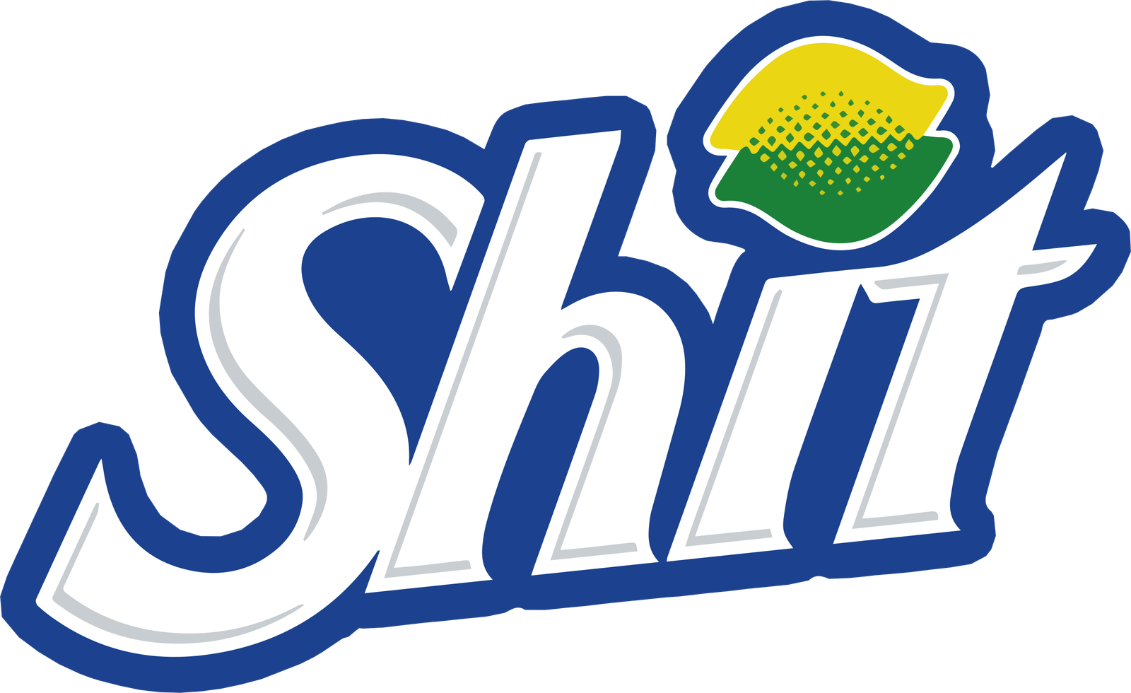Copy of Shit