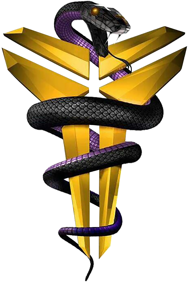 Copy of black mamba