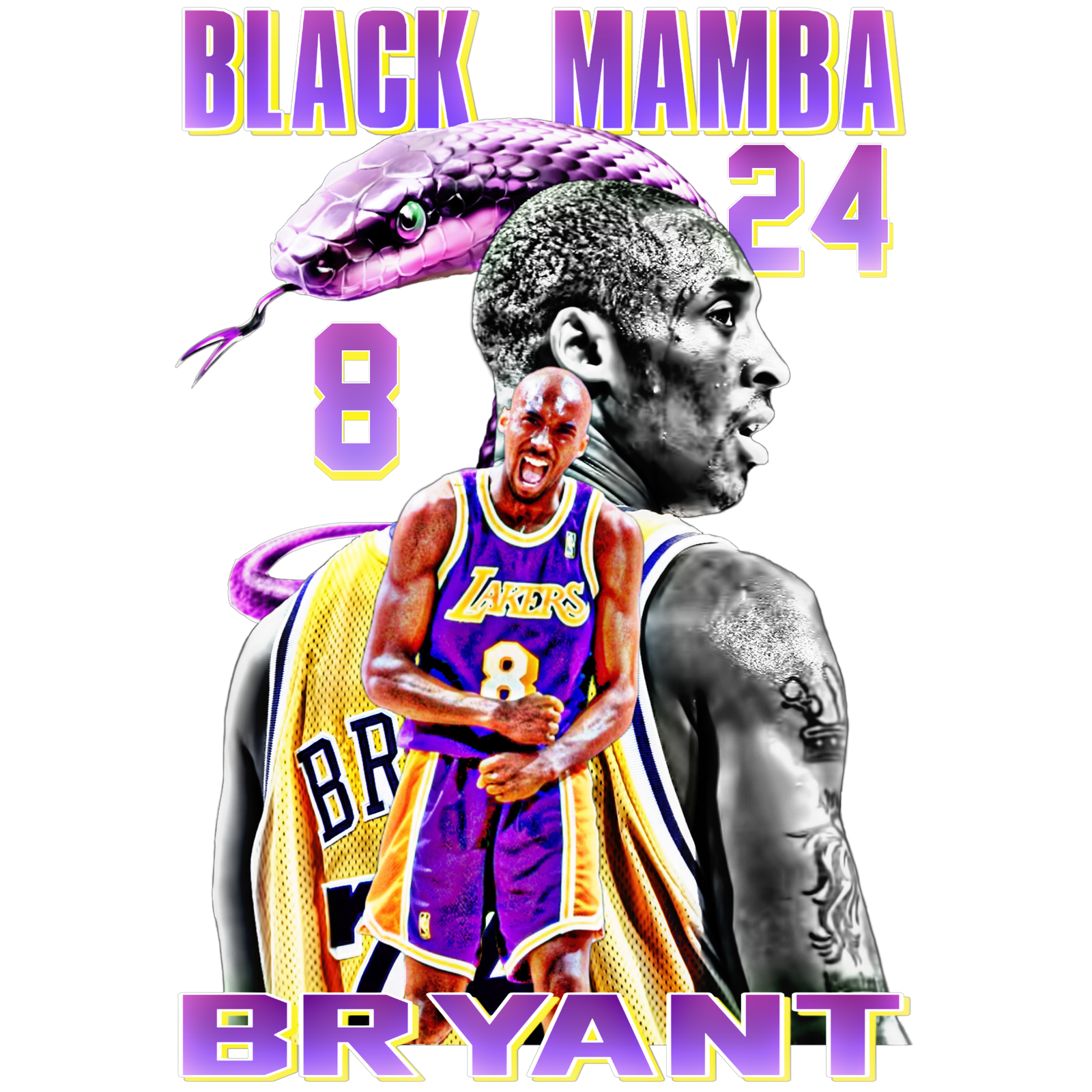 Copy of blackmamba 10-12-10.10.32