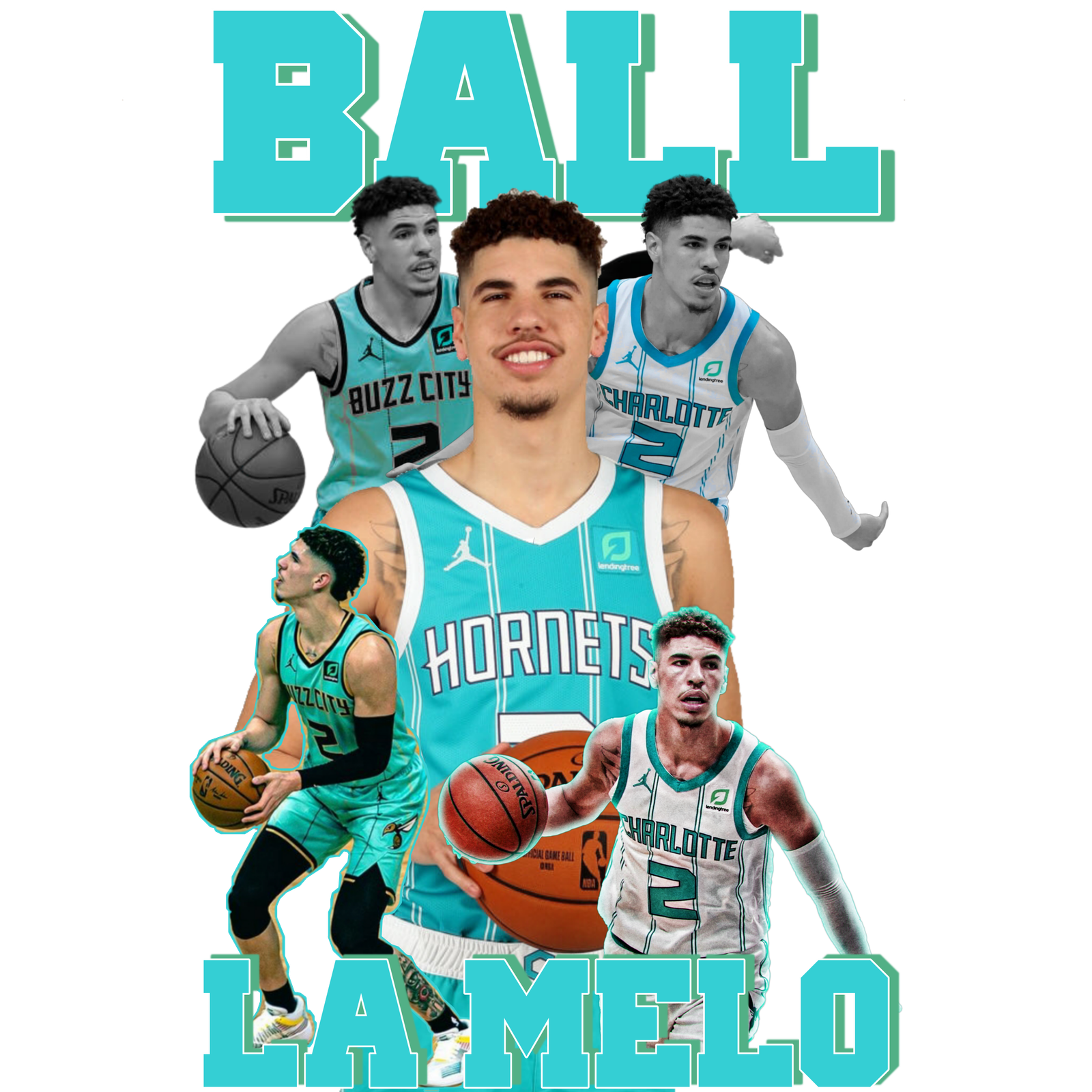 Copy of lamelo 08-21-11.59.31