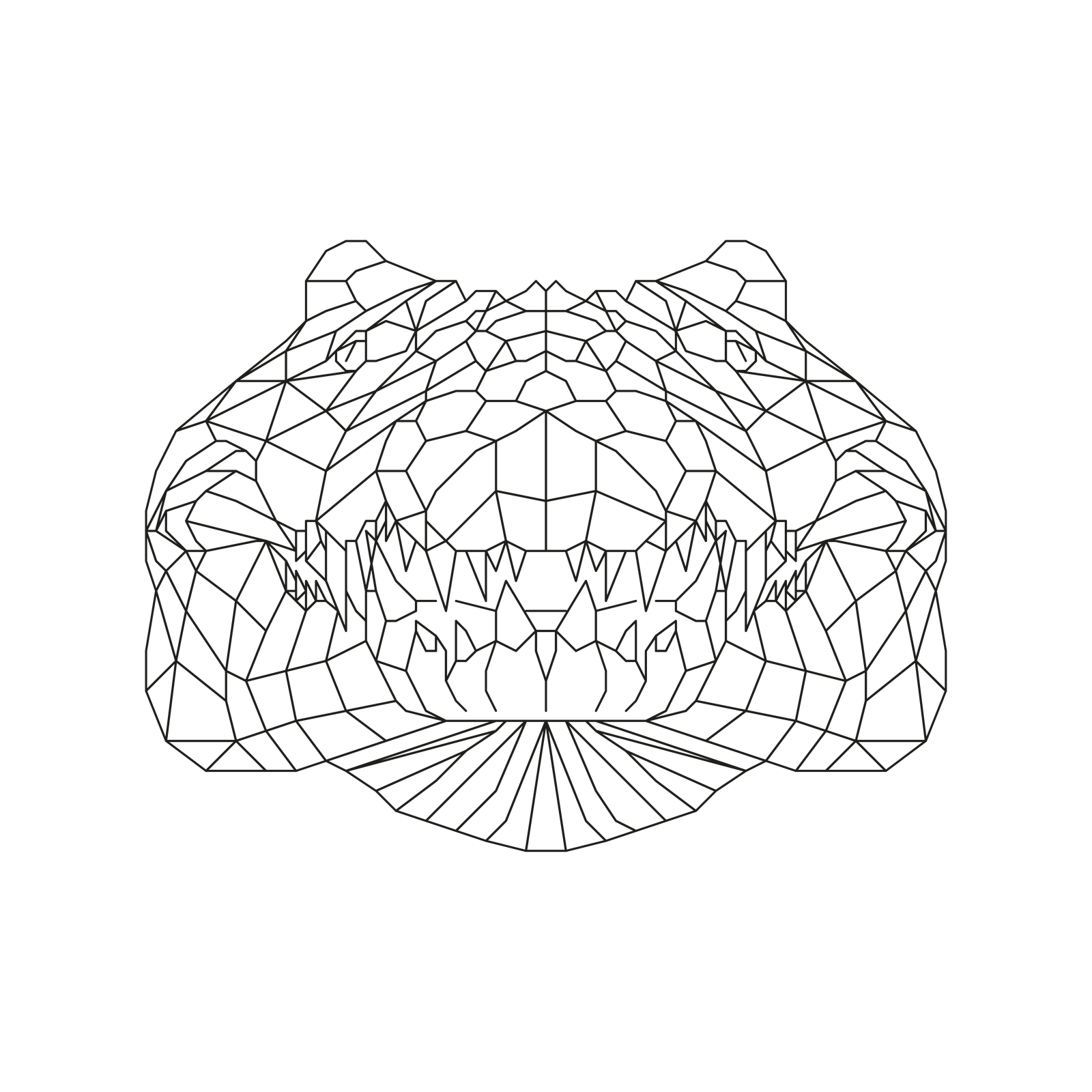 Crocodile
