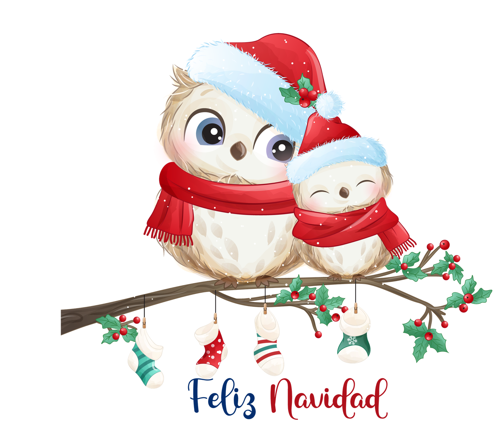 Diseño 12