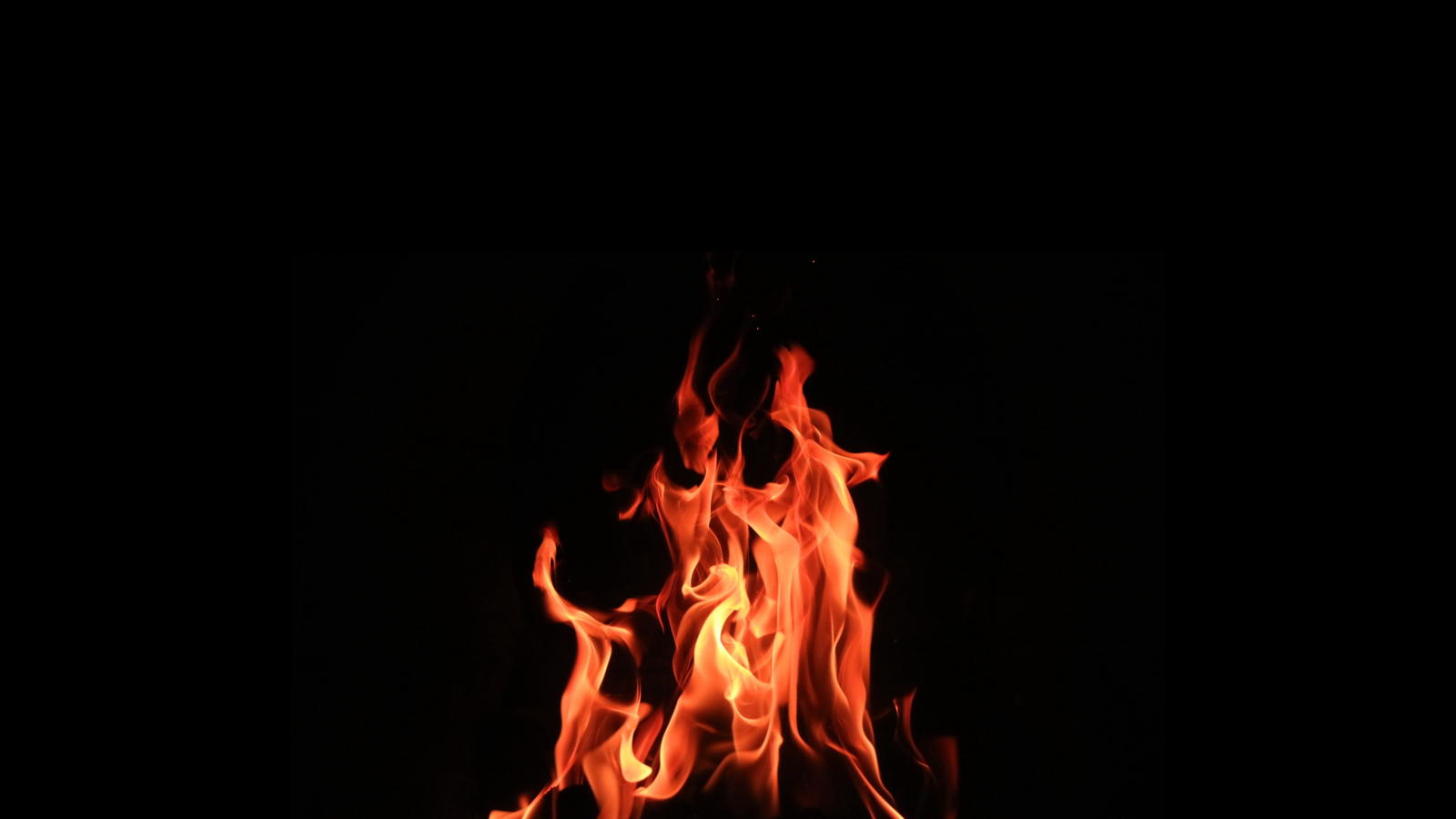 FOGO 7