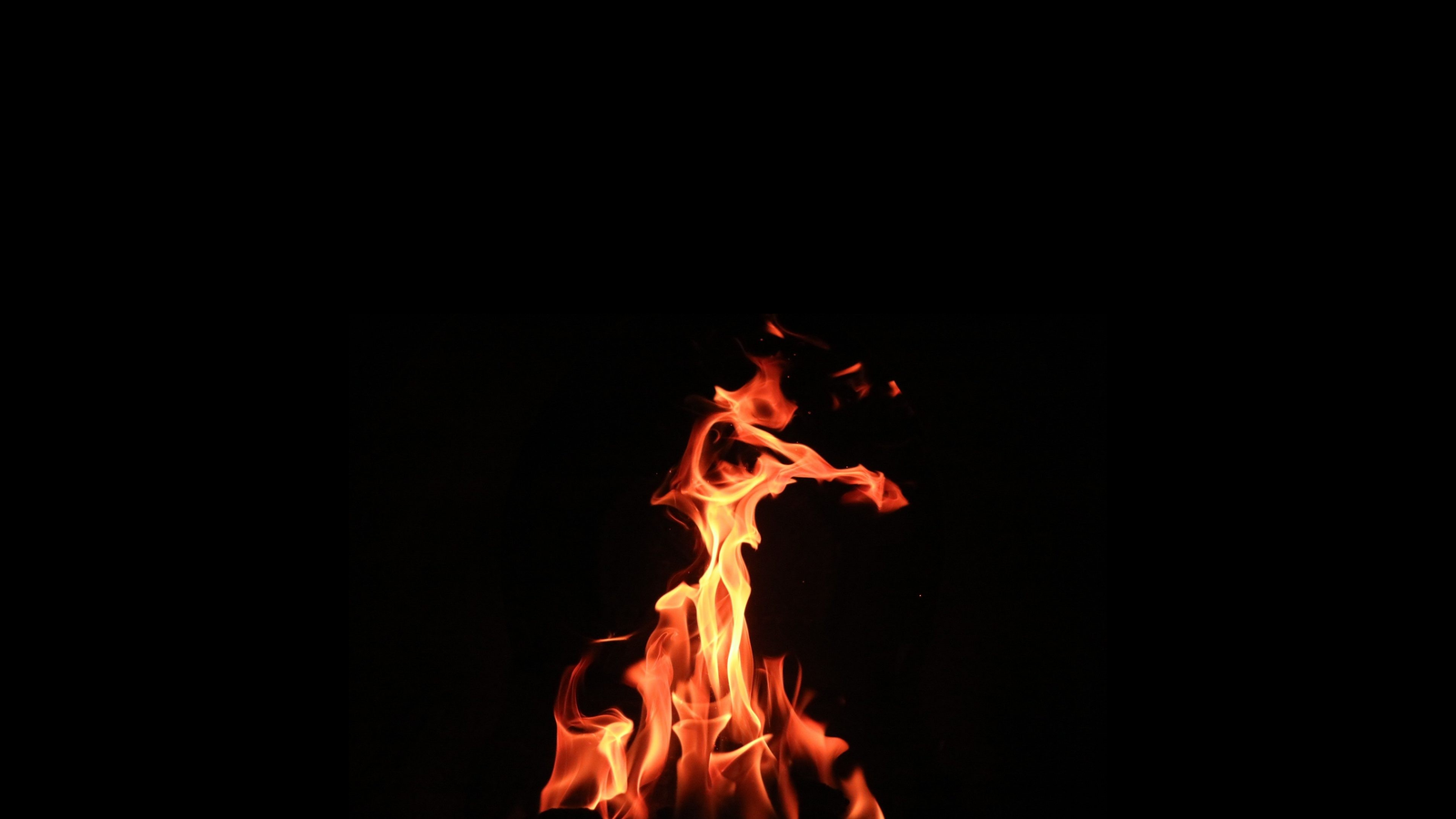 FOGO 8