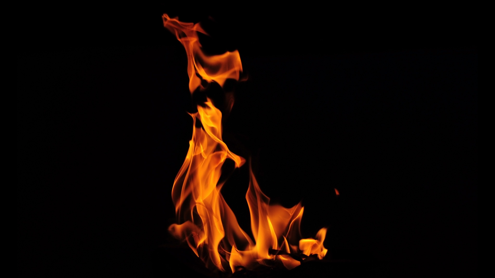 FOGO 9