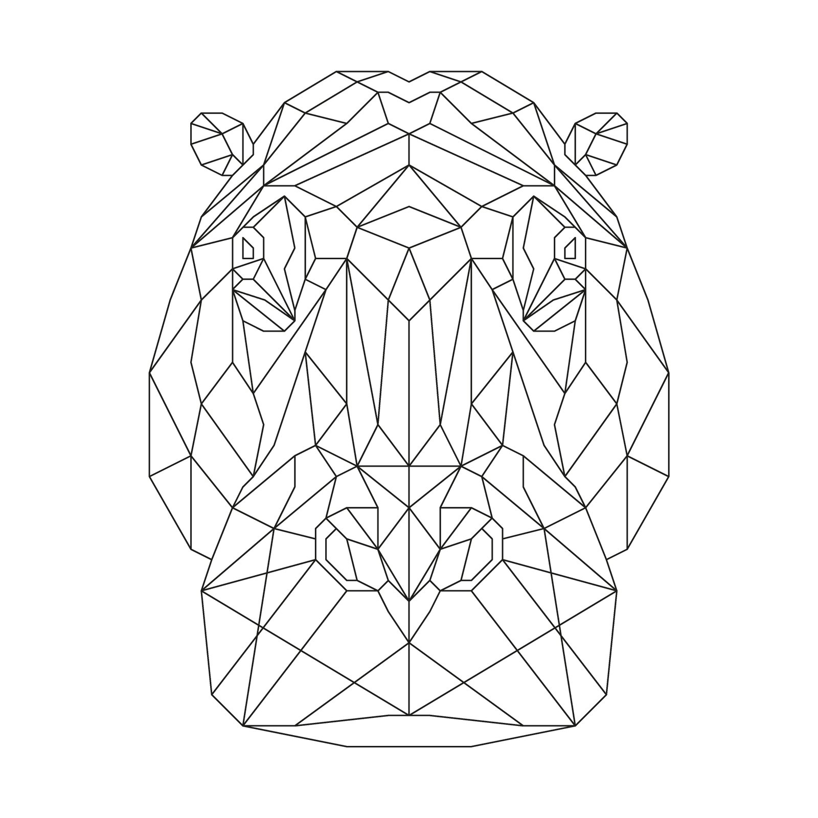 Hippopotamus