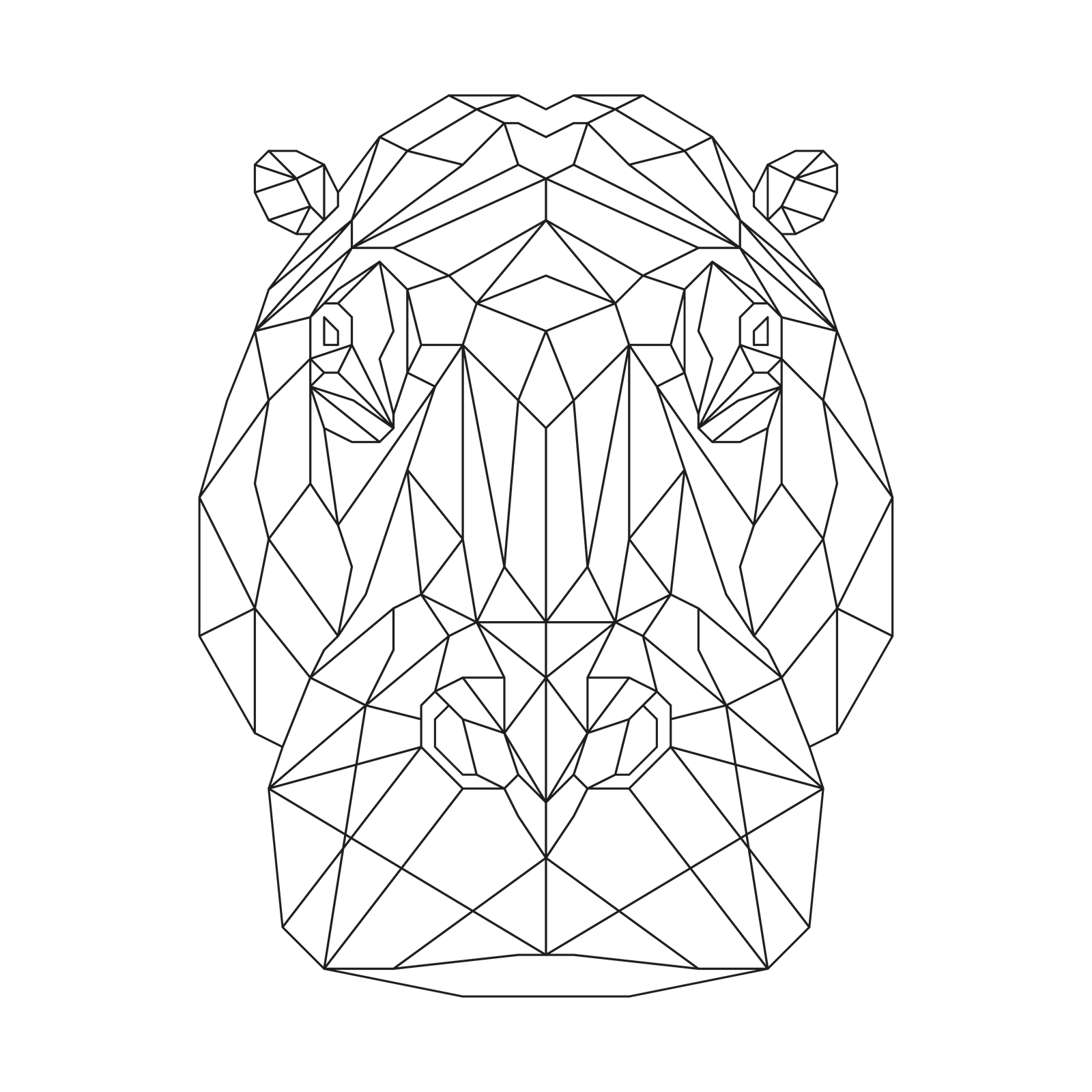 Hippopotamus