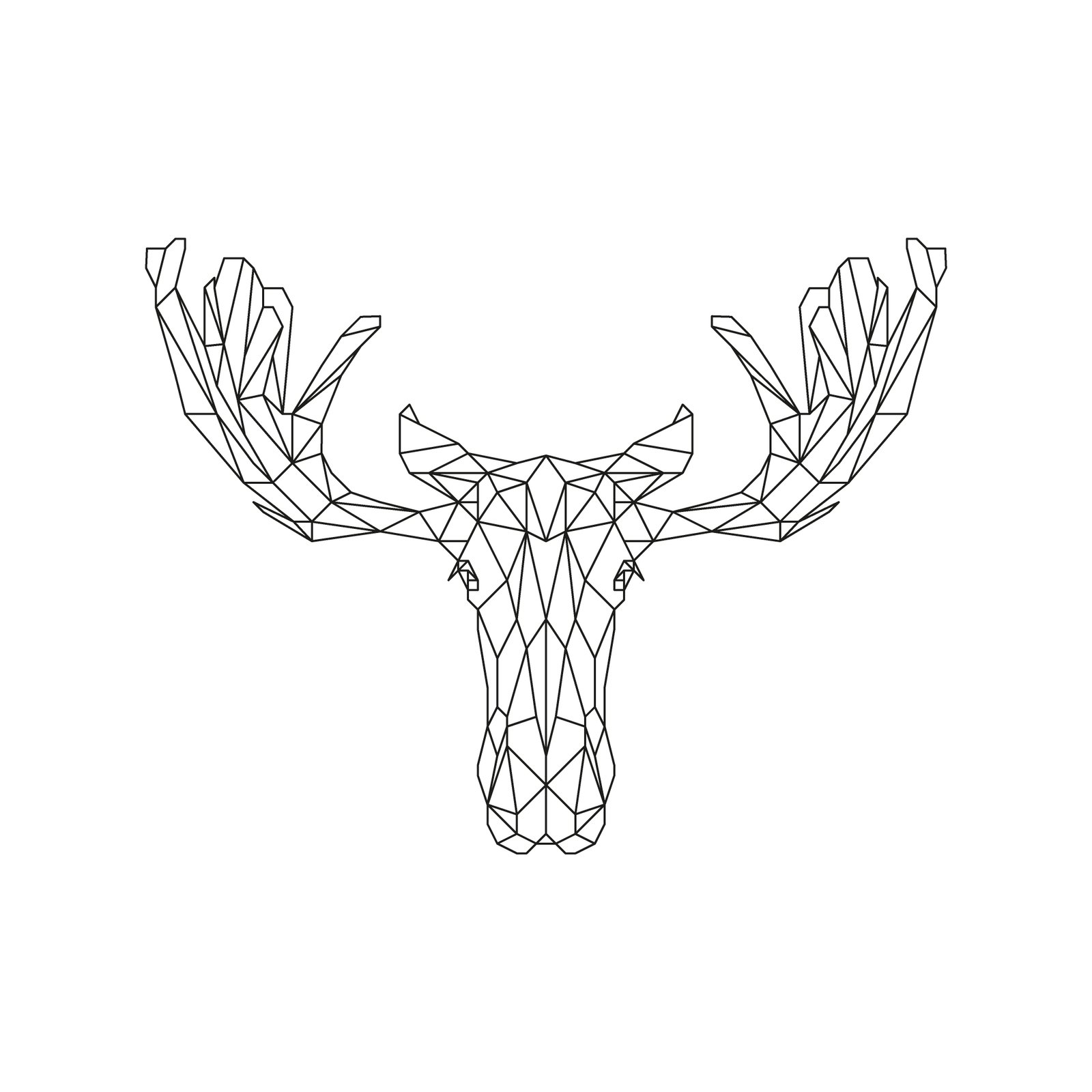 Moose