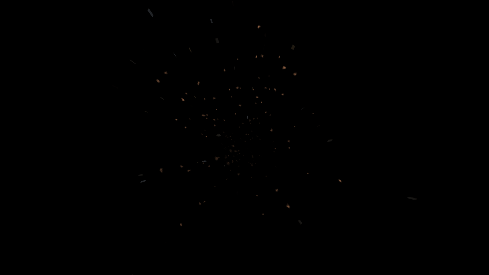 PARTICULA 11
