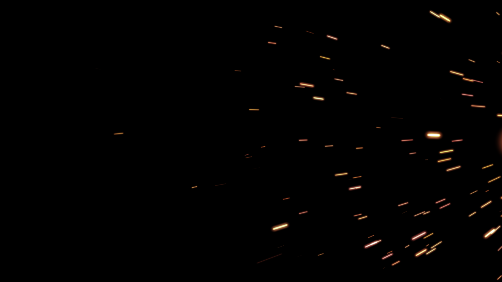 PARTICULA 16