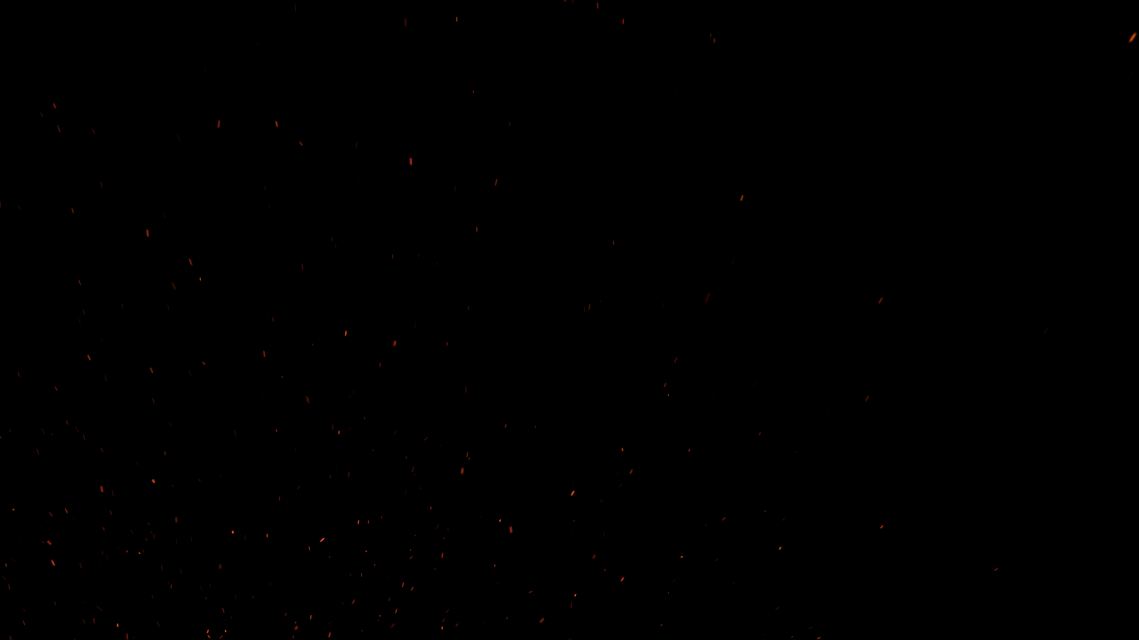 PARTICULA 2