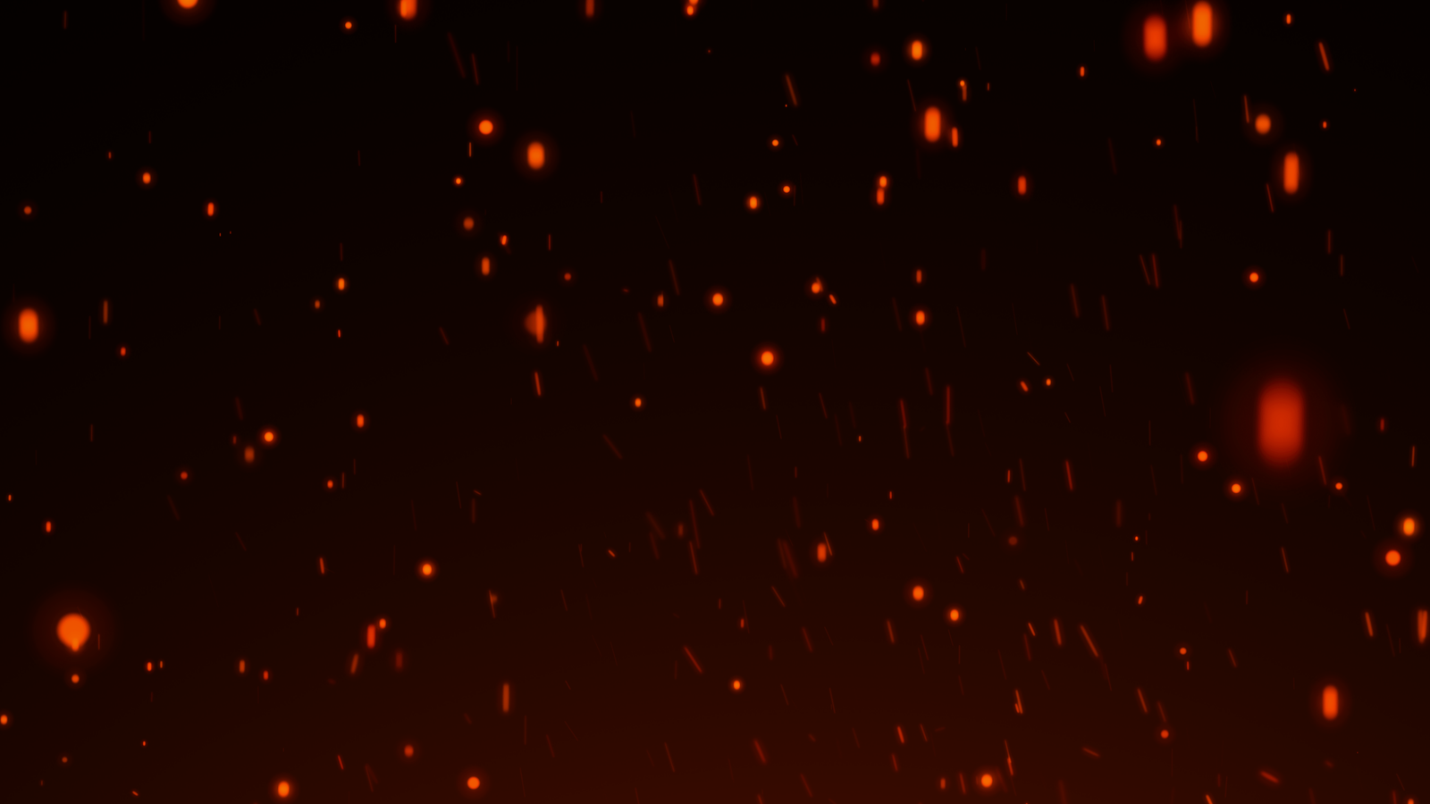 PARTICULA 3