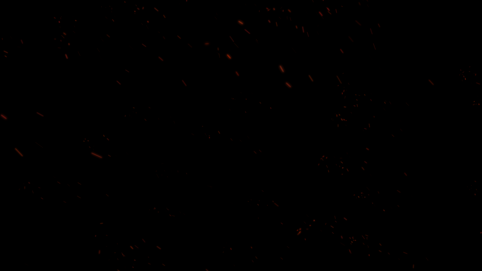 PARTICULA 4