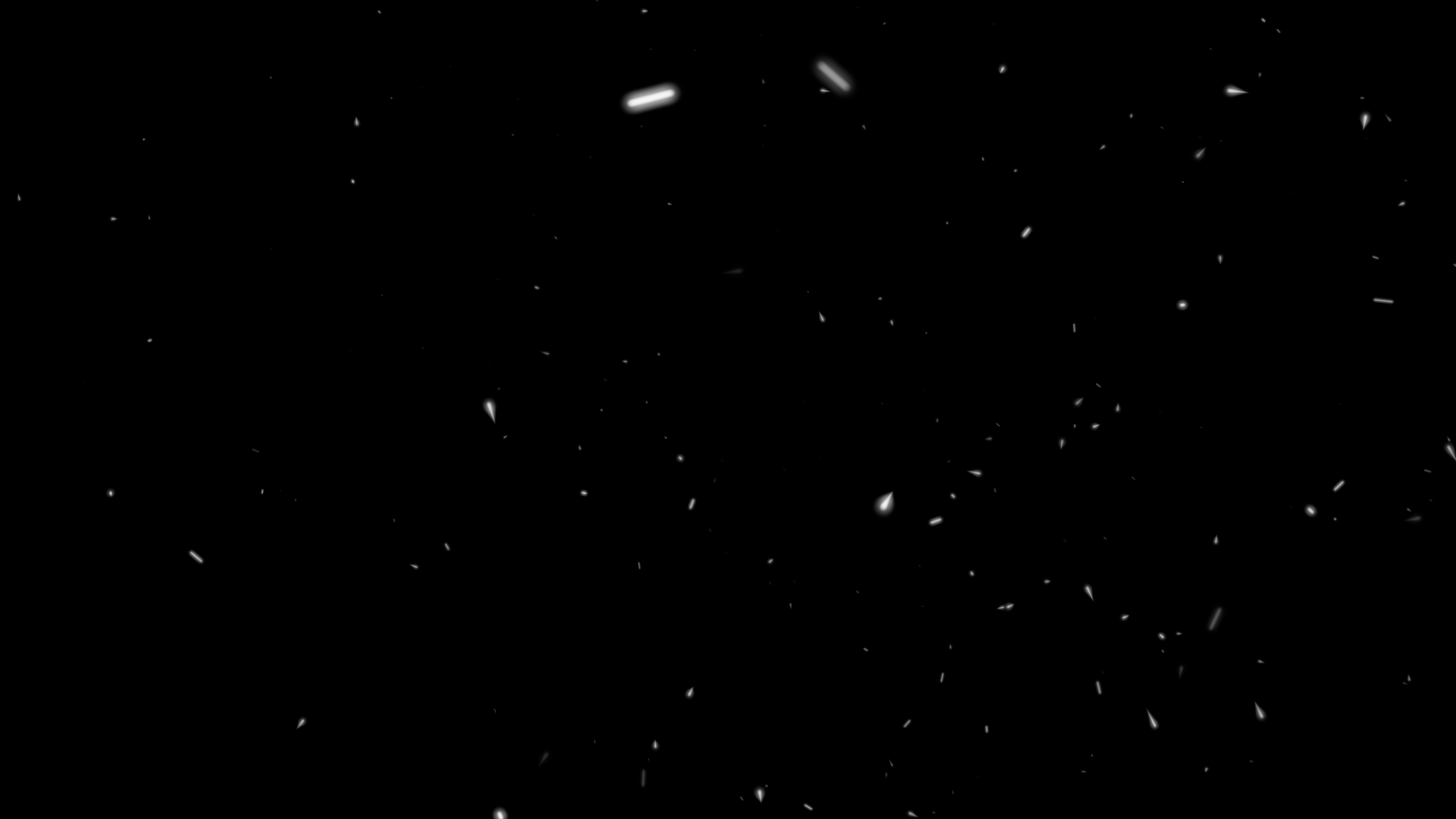 PARTICULA 5