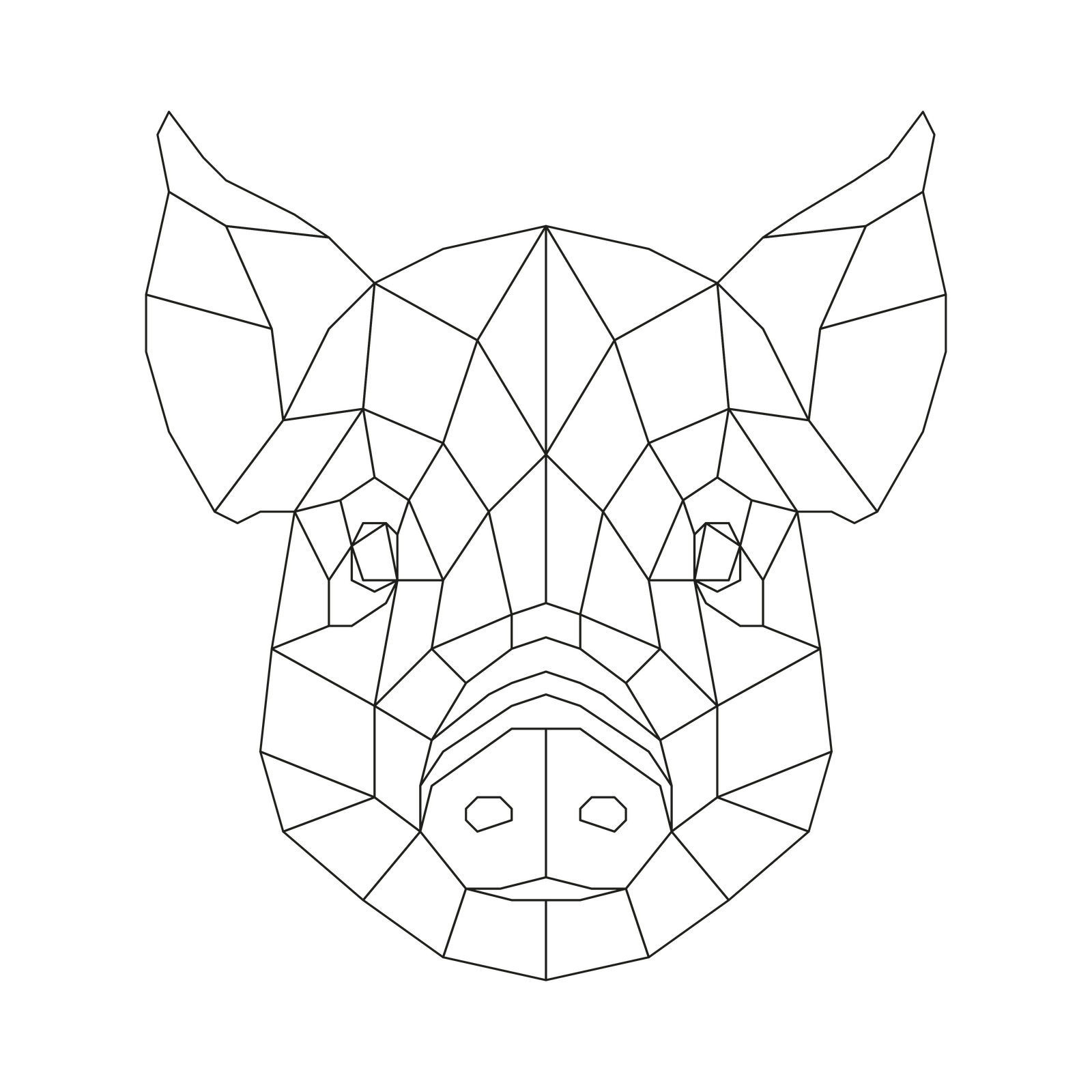 Pig