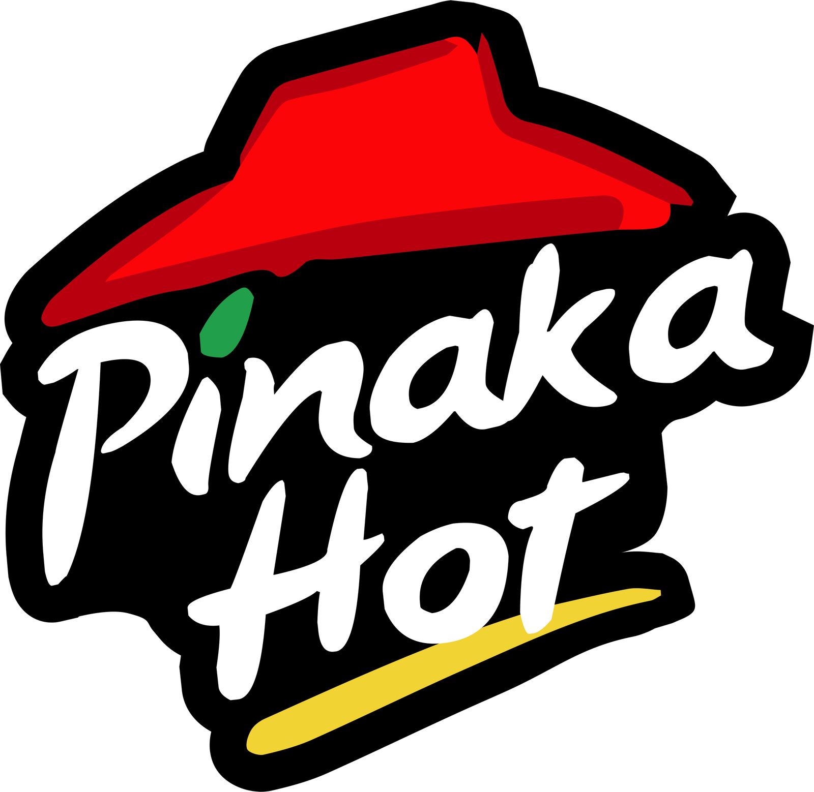 Pinaka Hot