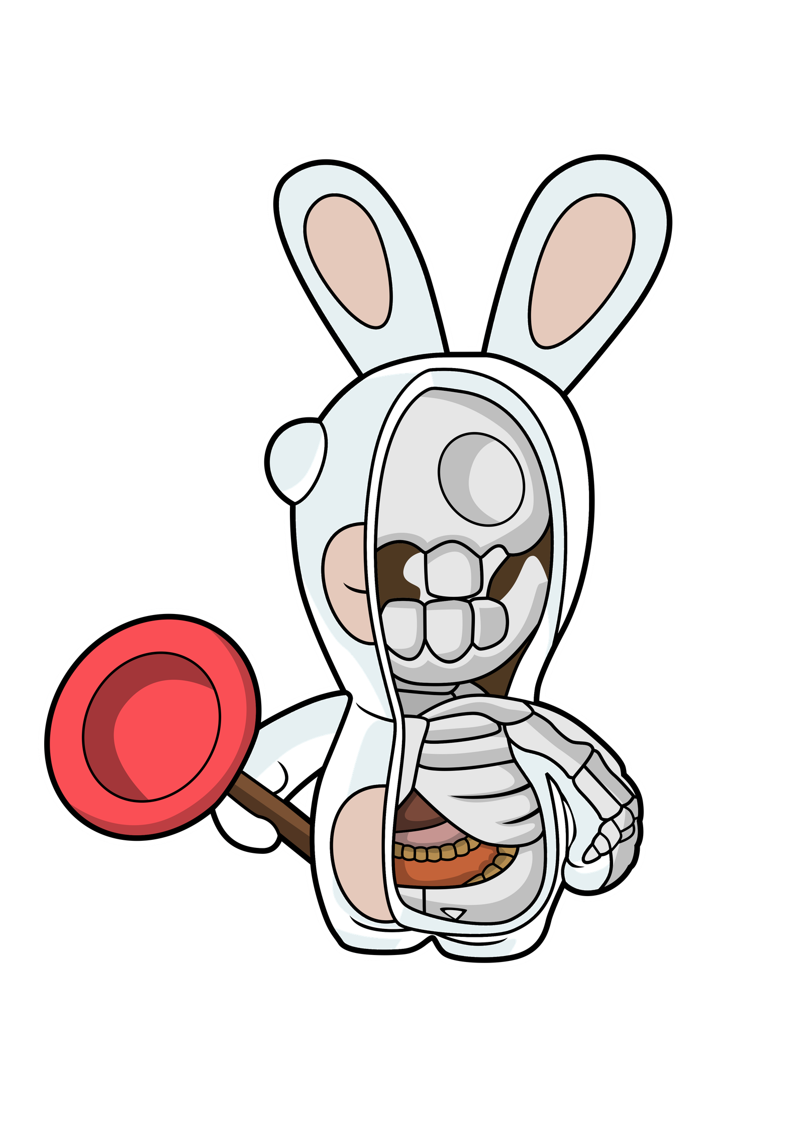 Rabbit Half Skeleton